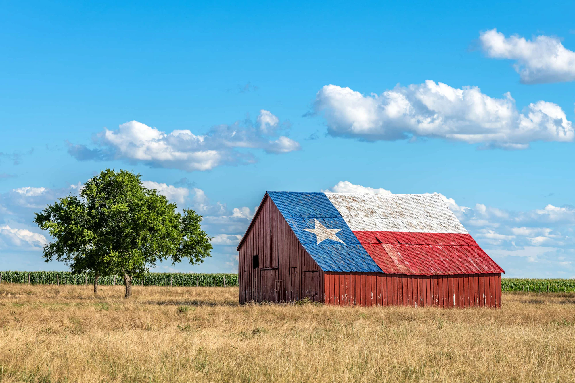 Texas Roadtrip