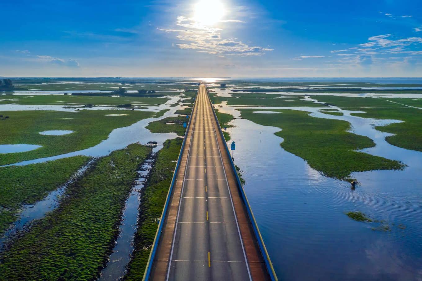 Highway in swamp