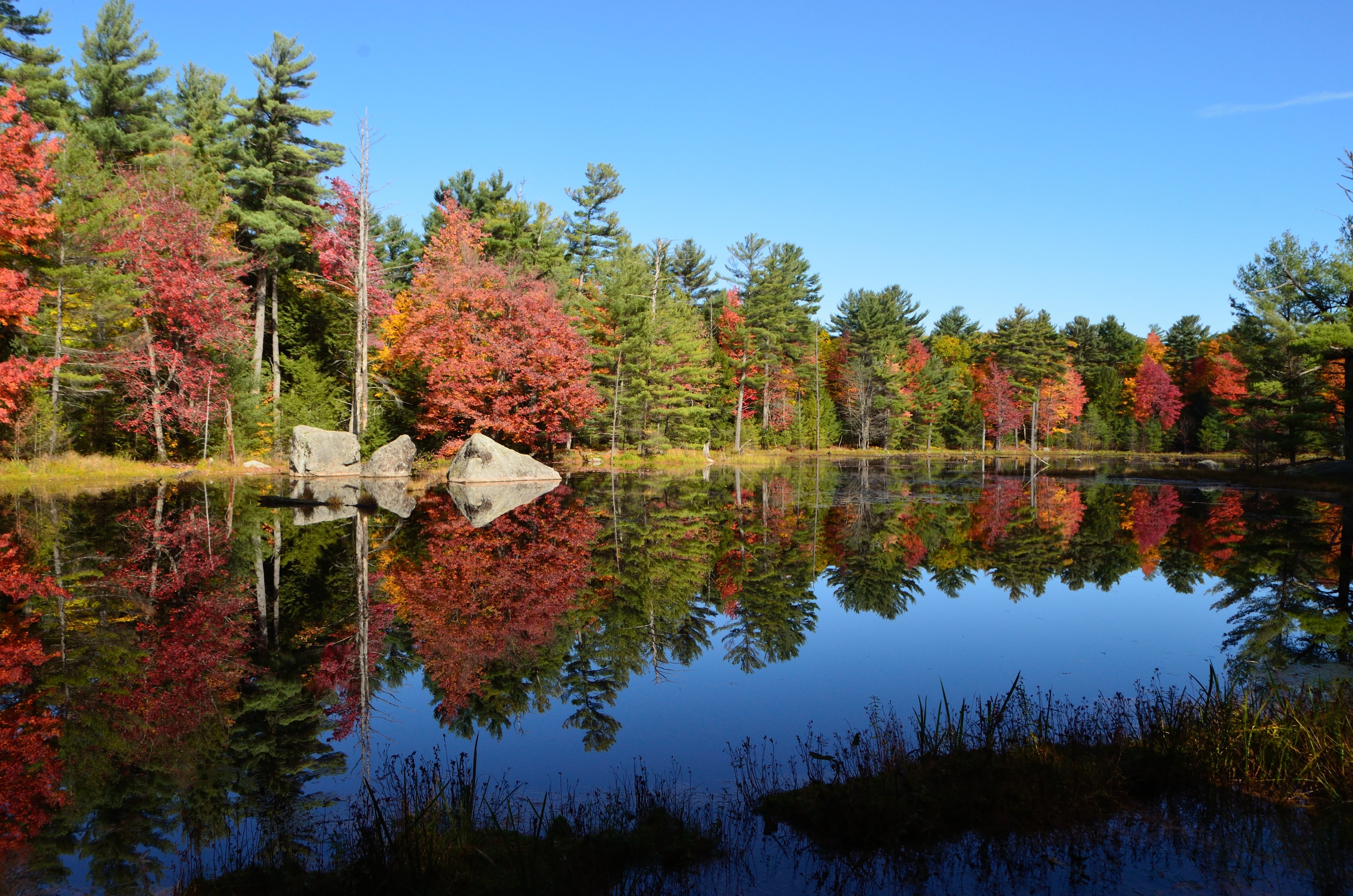 Ontario