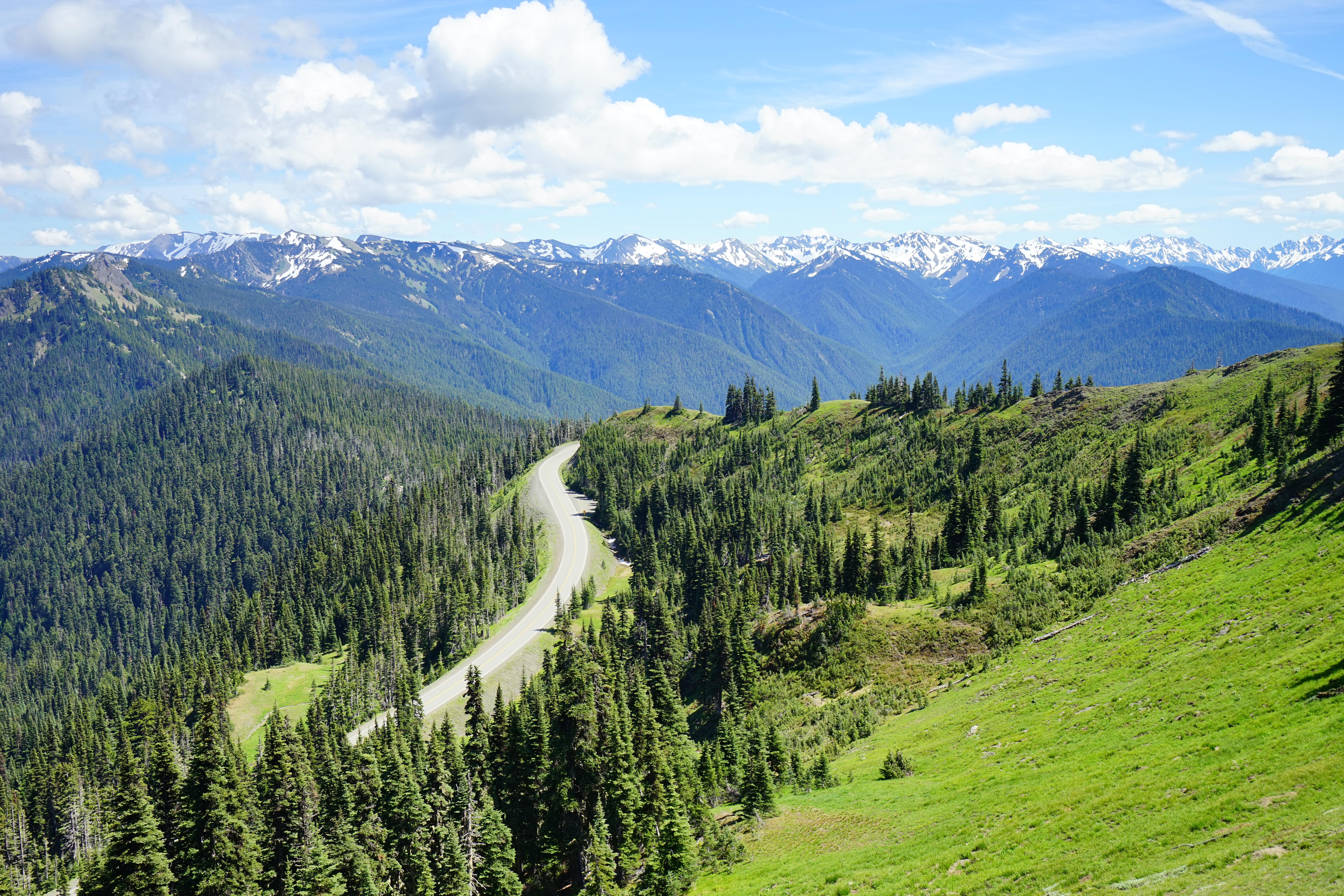 Top National Parks and Scenic Drives Near Seattle