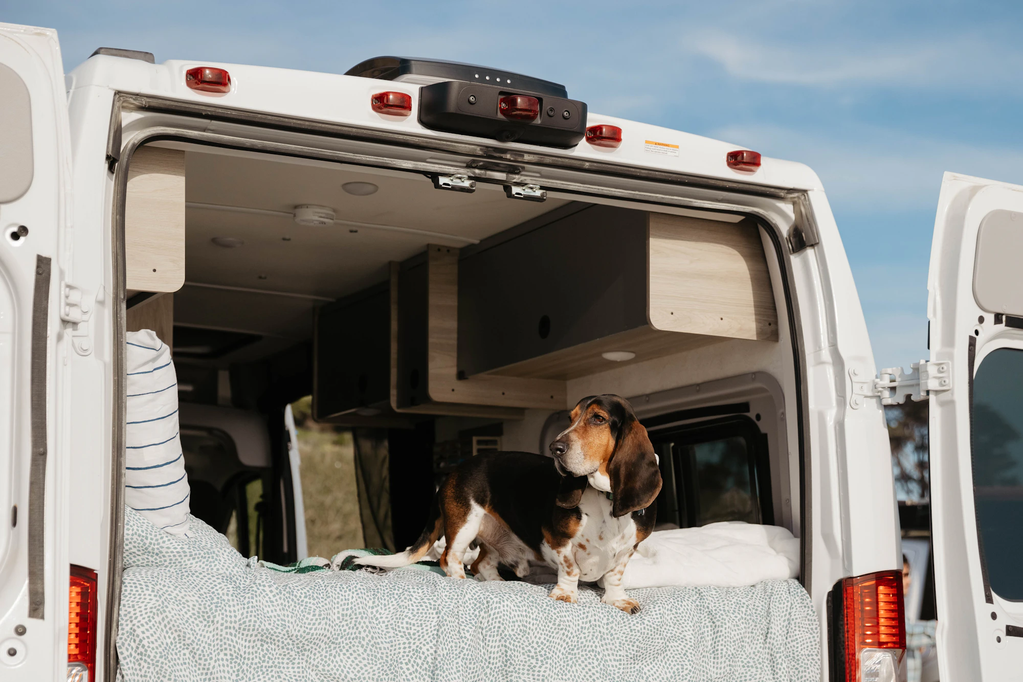 Pet Friendly Campervan hire