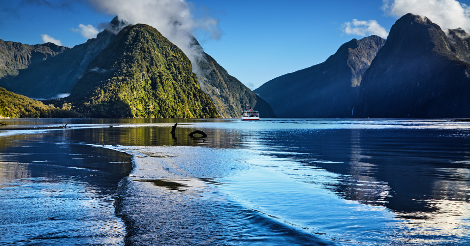Stop 5: Milford Sound
