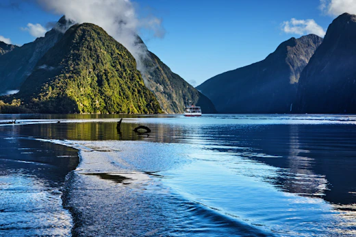 Stop 5: Milford Sound