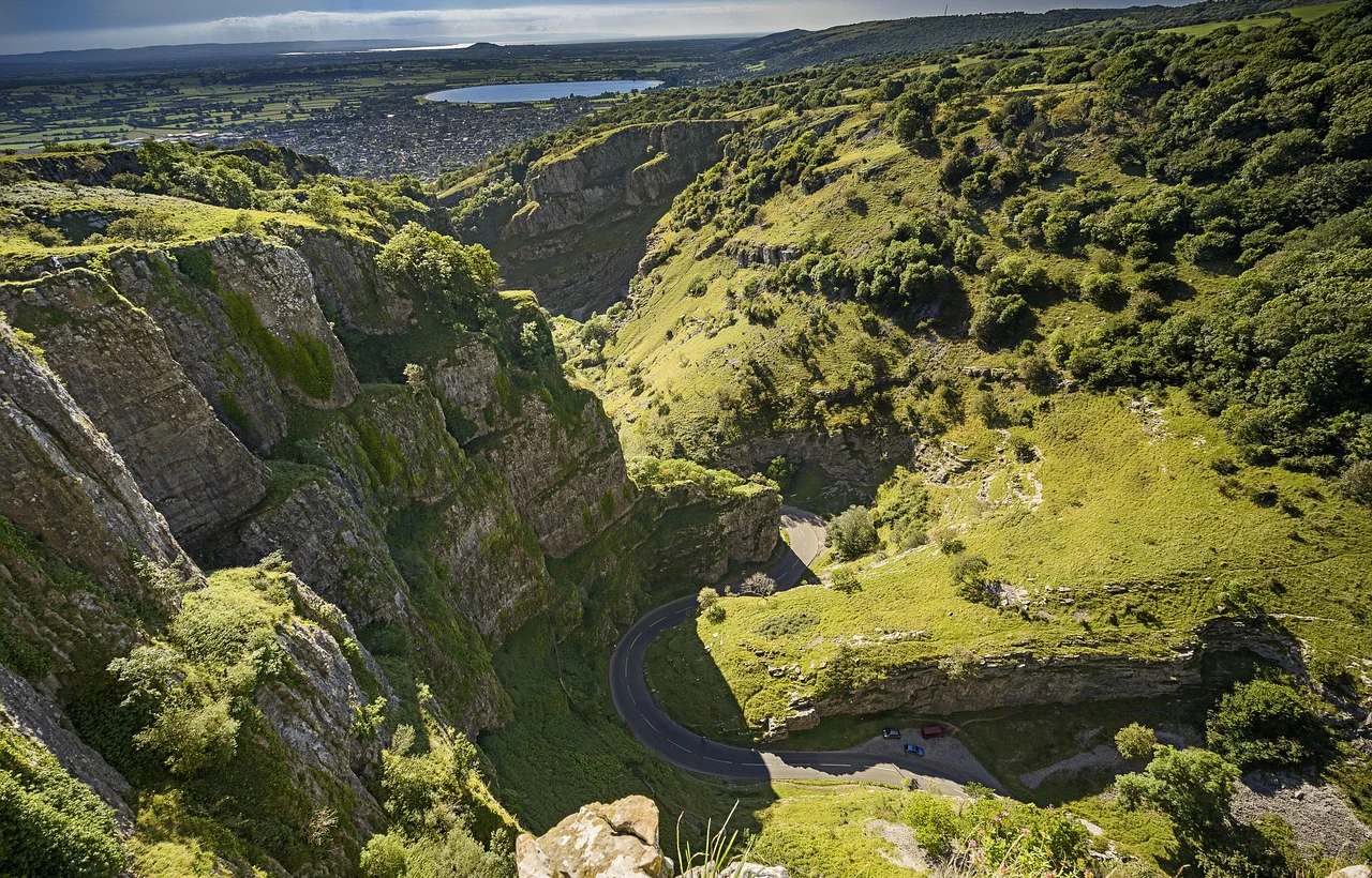 Bristol Reviews