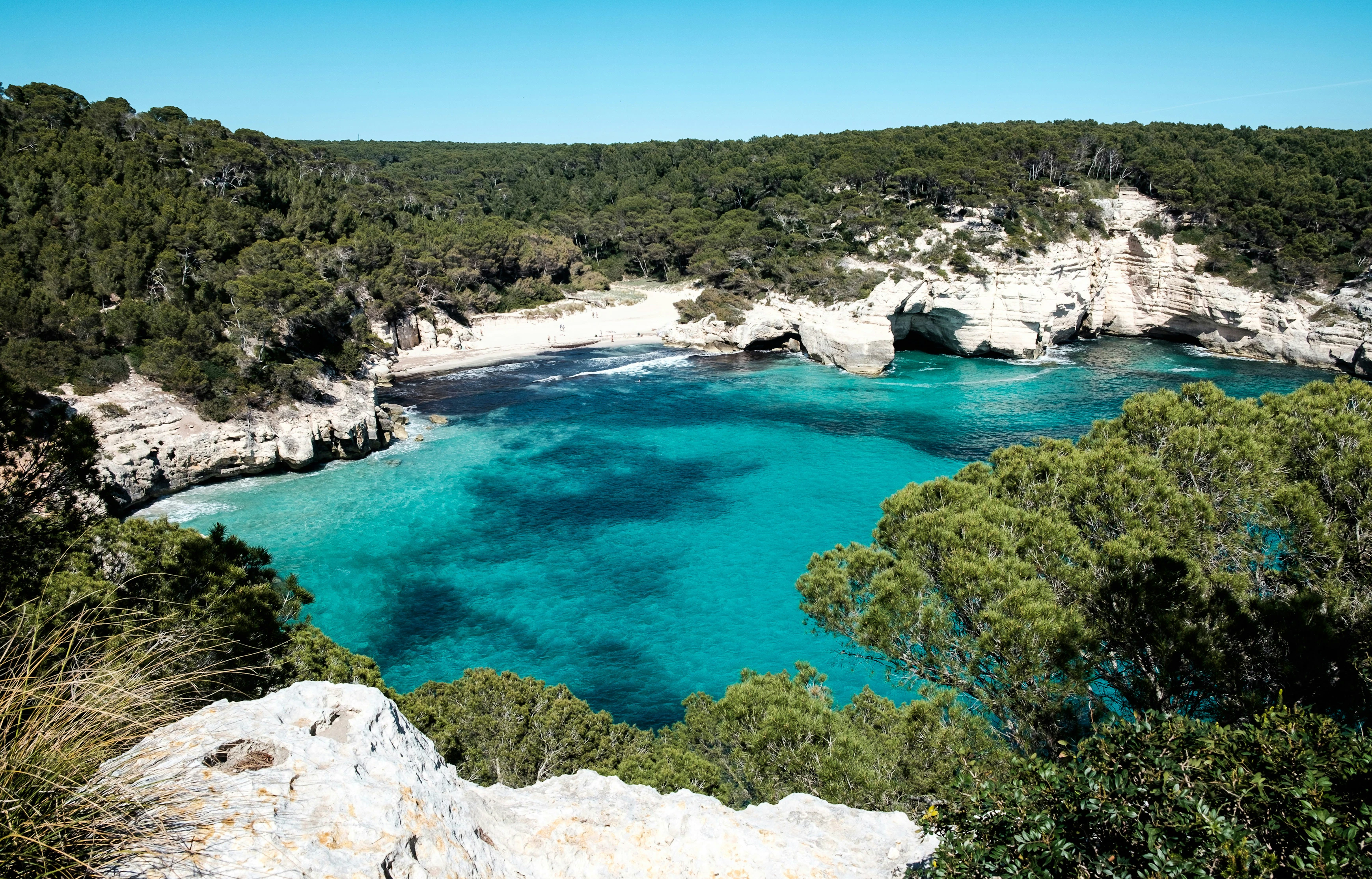 Palma Reviews