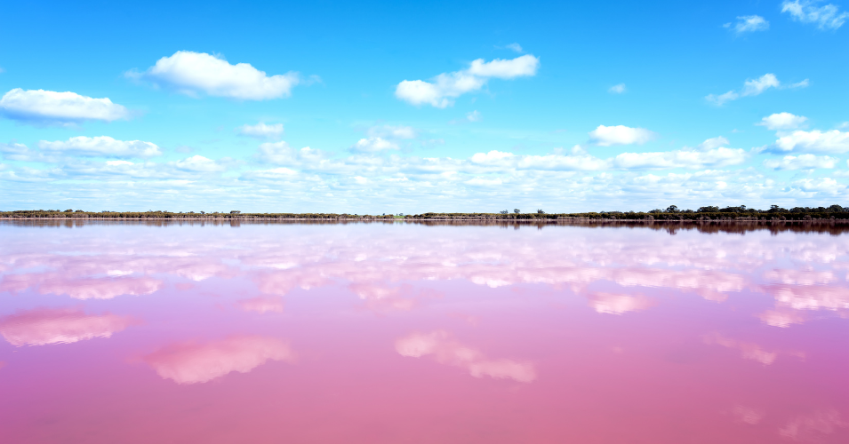 Stop 2: Jurien Bay & Hutt Lagoon