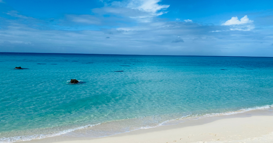 Stop 1: Lancelin & Sandy Cape