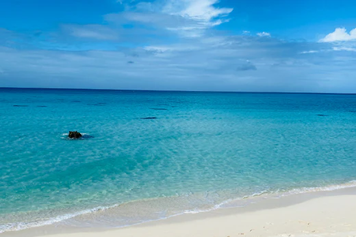 Étape 1 : Lancelin et Sandy Cape