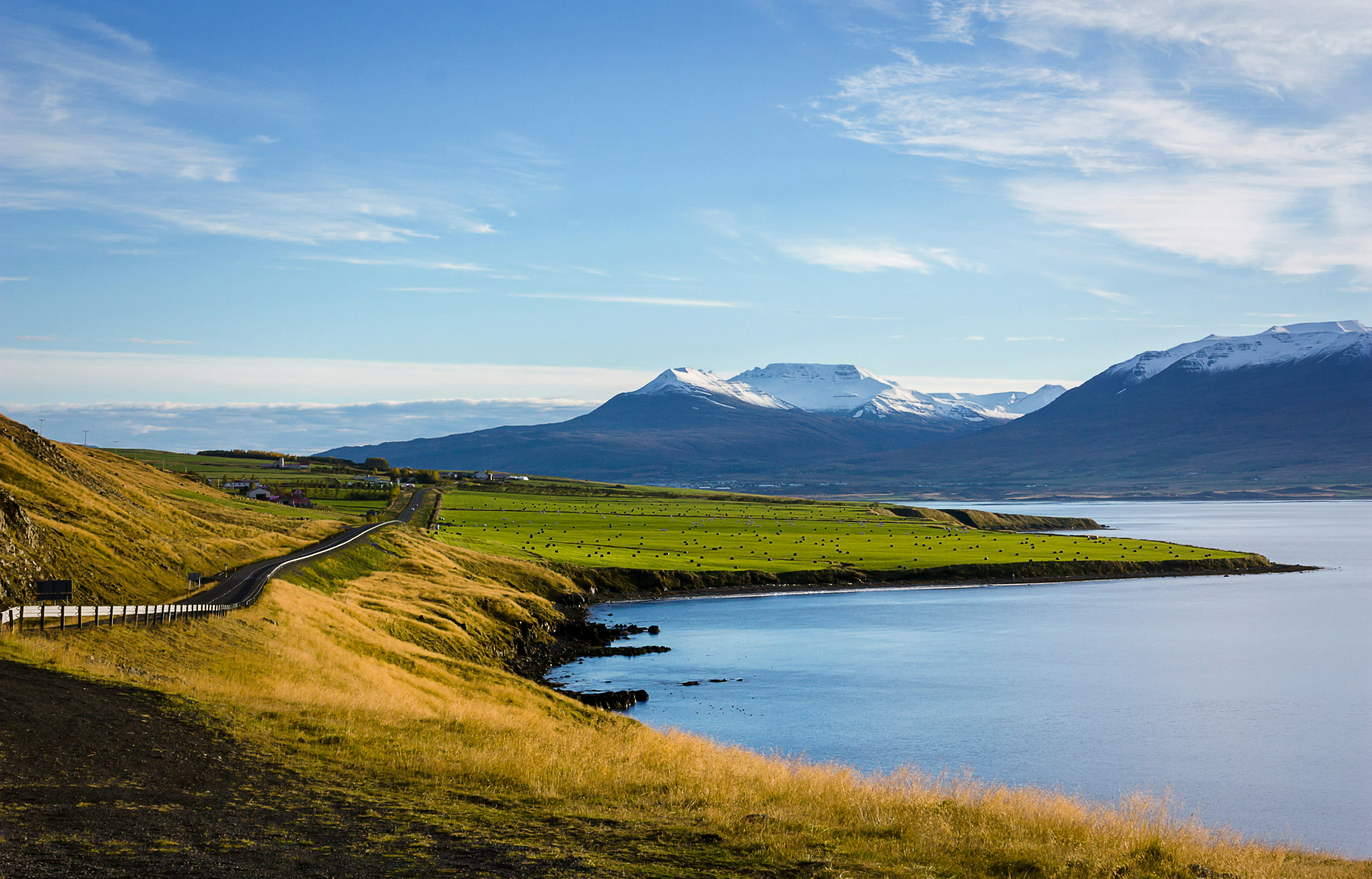 Iceland Reviews