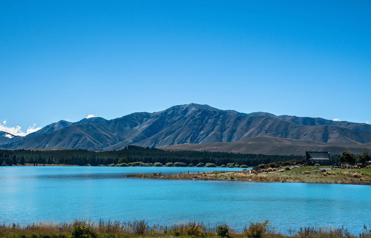 New Zealand Reviews