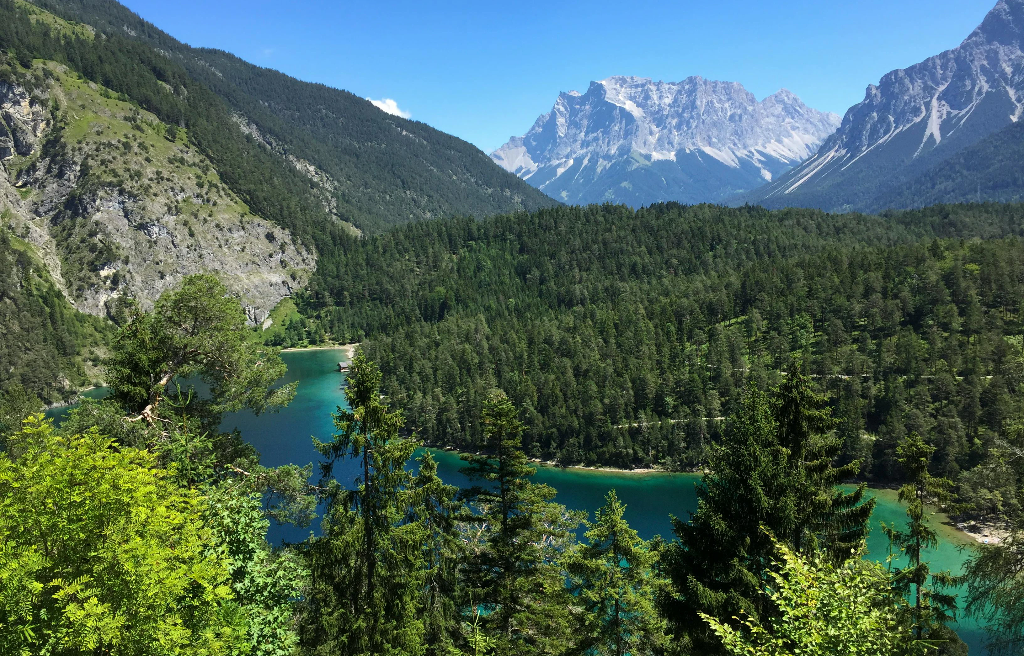 Munich Reviews