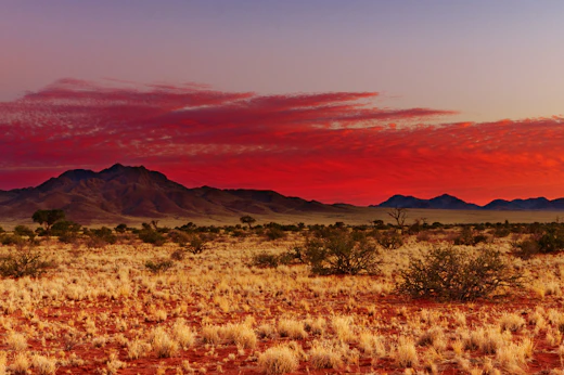Étape 3 : Parc national de Kalbarri