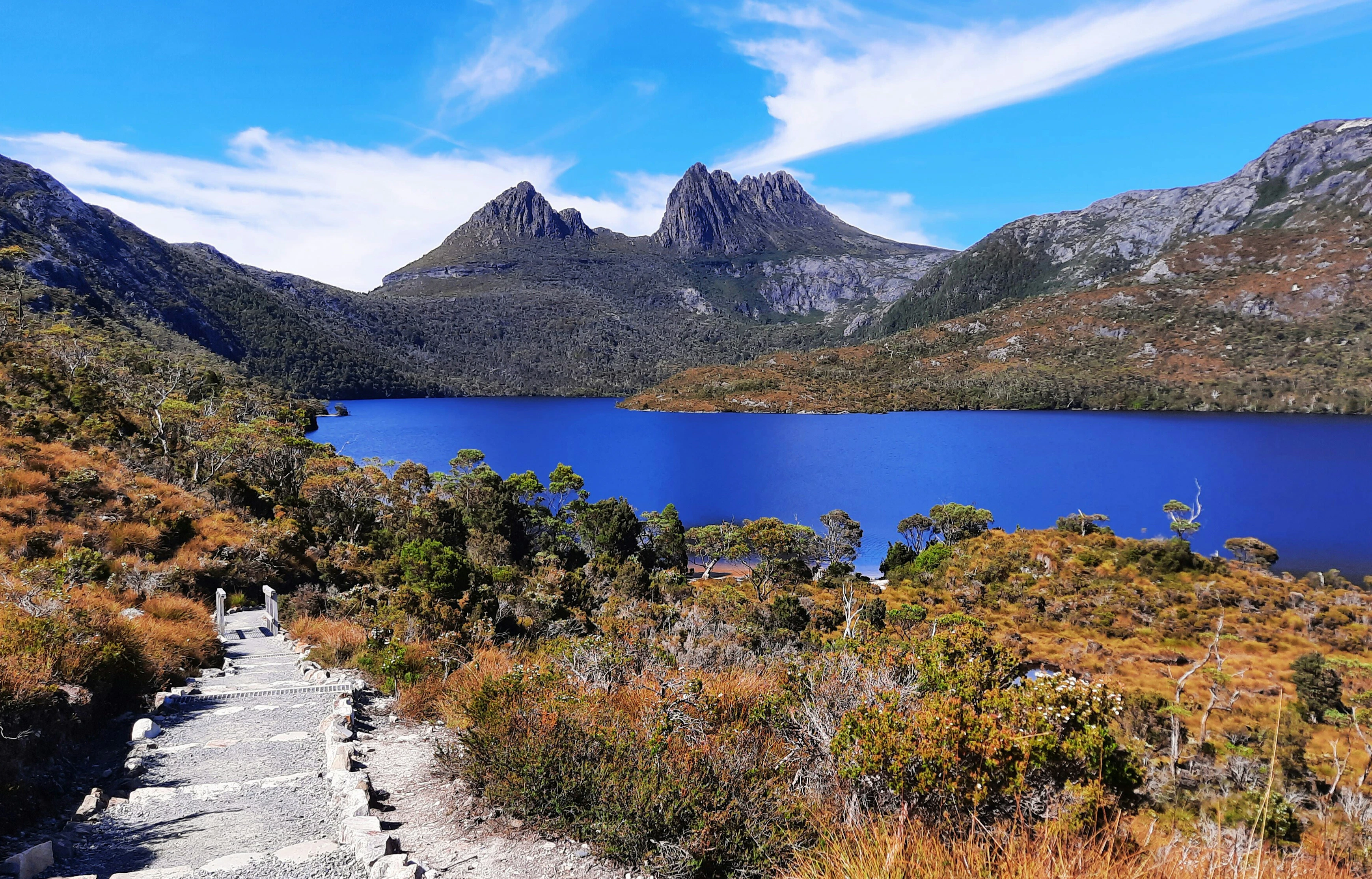 Tasmanie Reviews