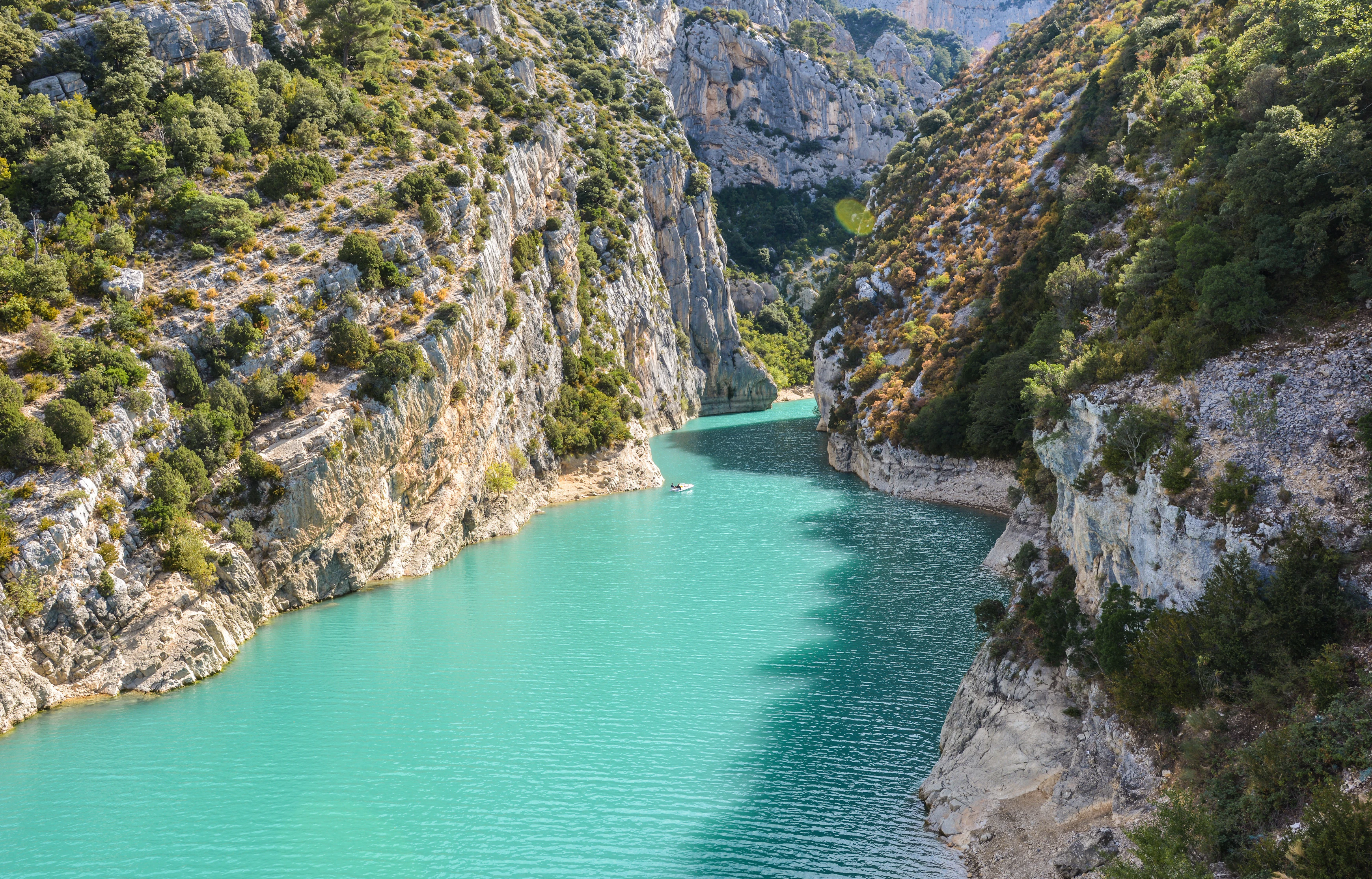Provence Reviews