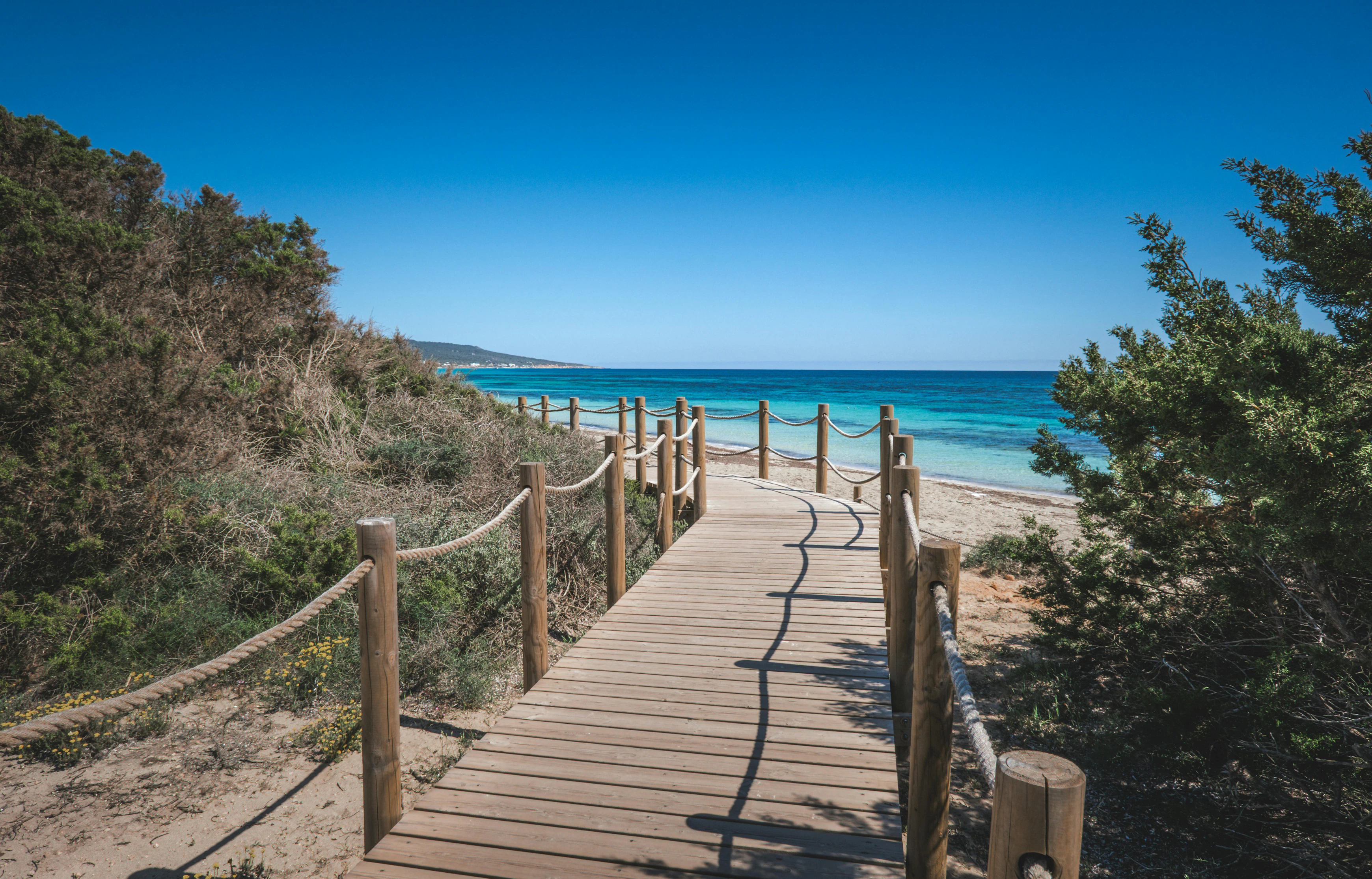 Sardinia Reviews