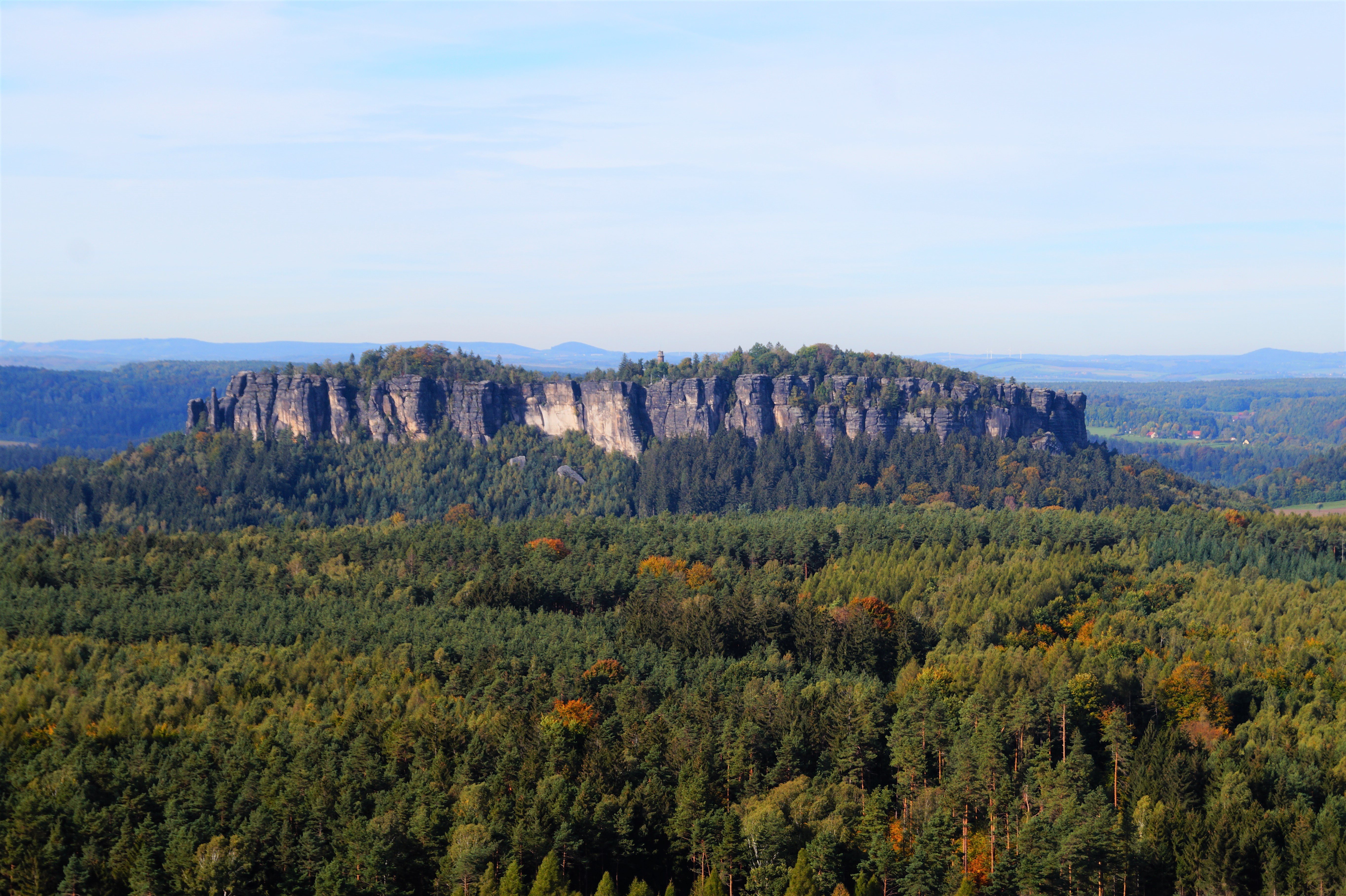 Saxony Reviews