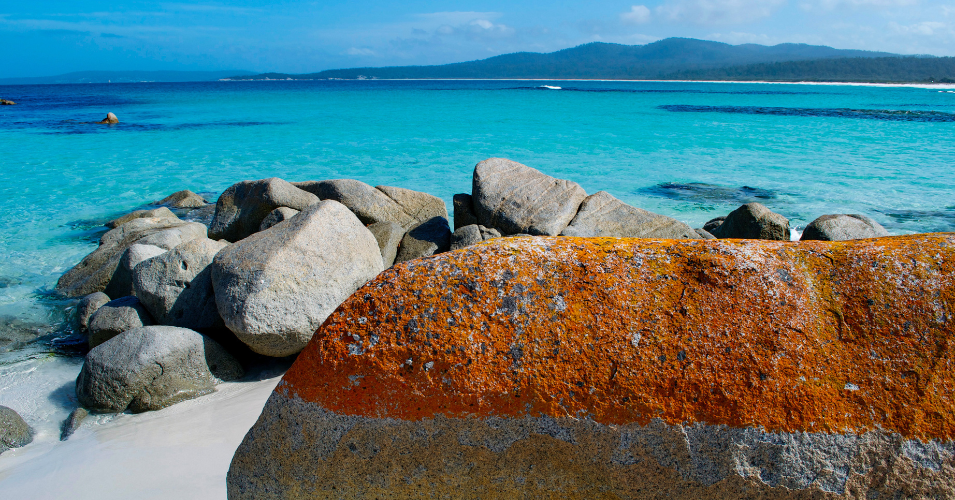 Stop 5: Bay of Fires
