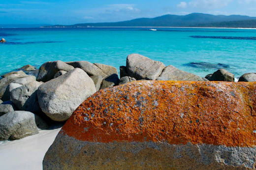 Stop 5: Bay of Fires