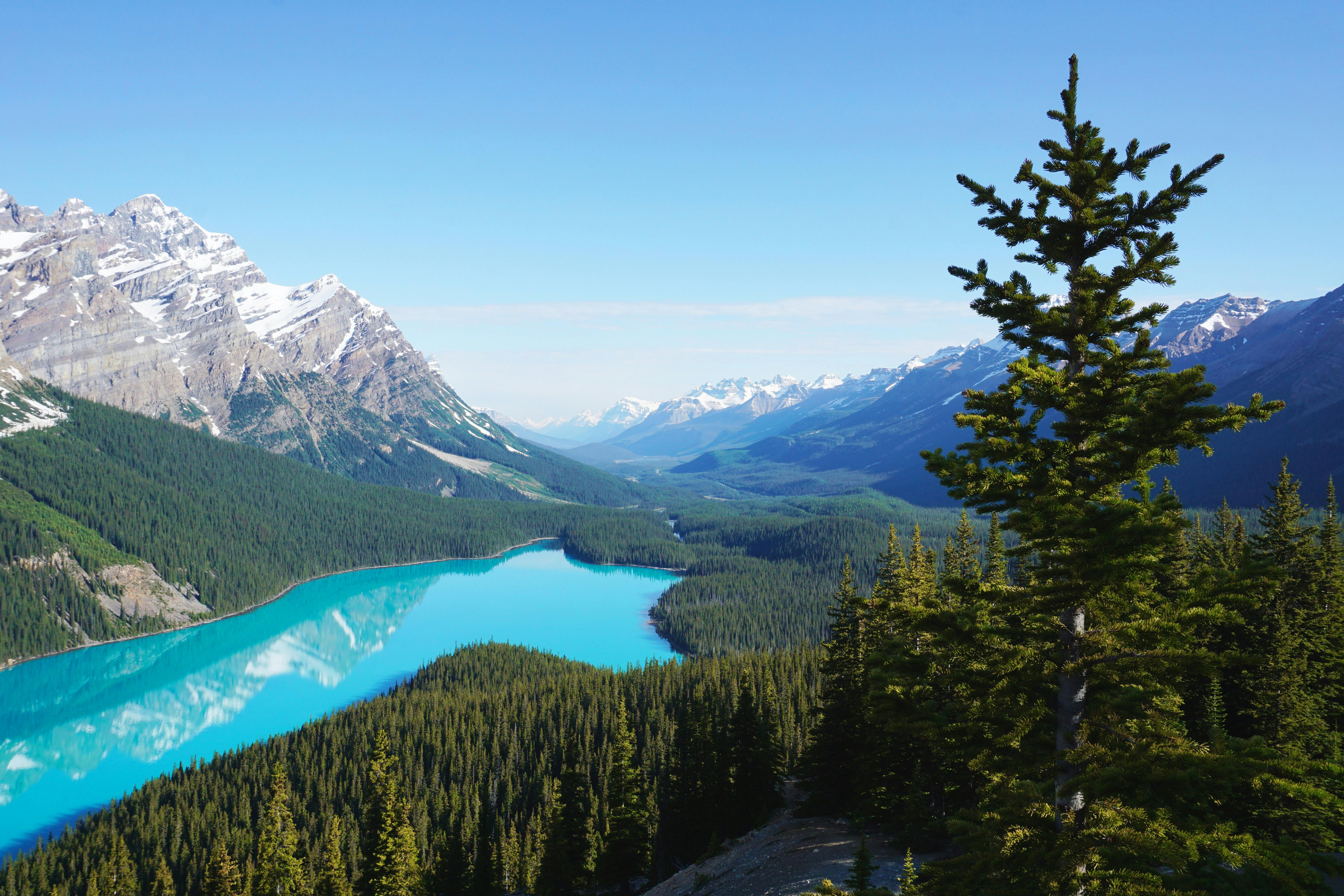 Campervan and RV Rental in Alberta