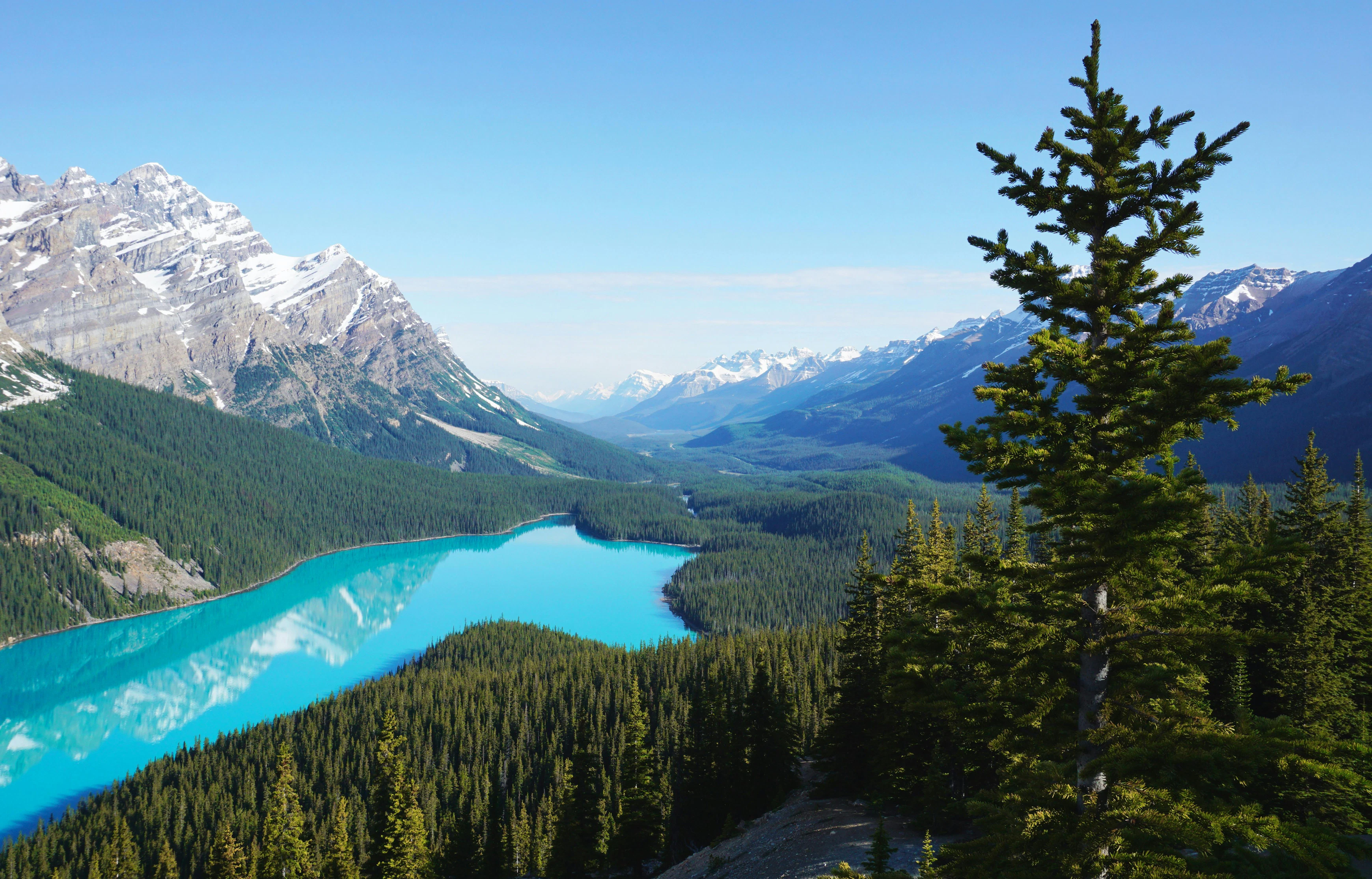 Alberta Reviews