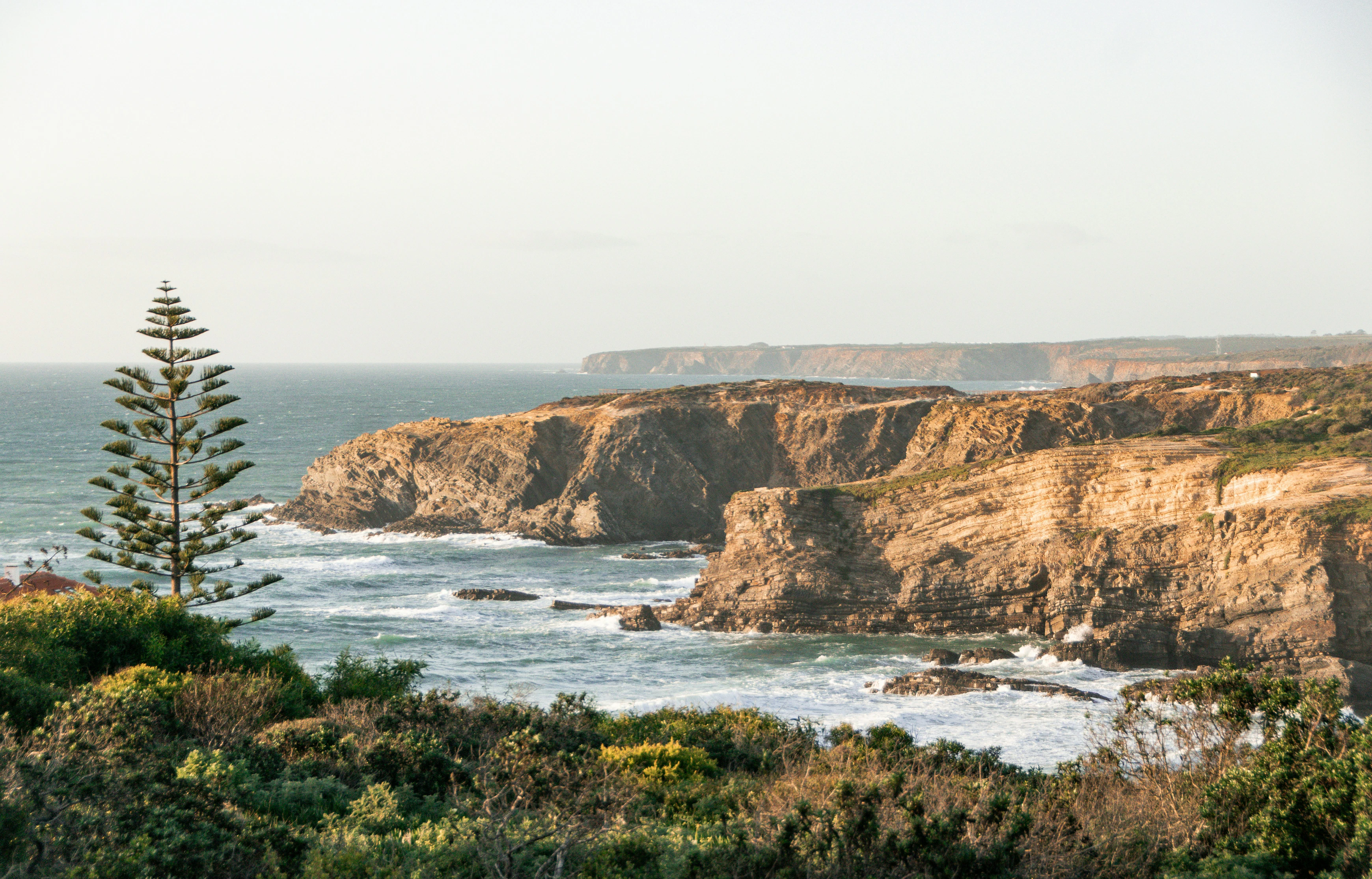 Algarve Reviews