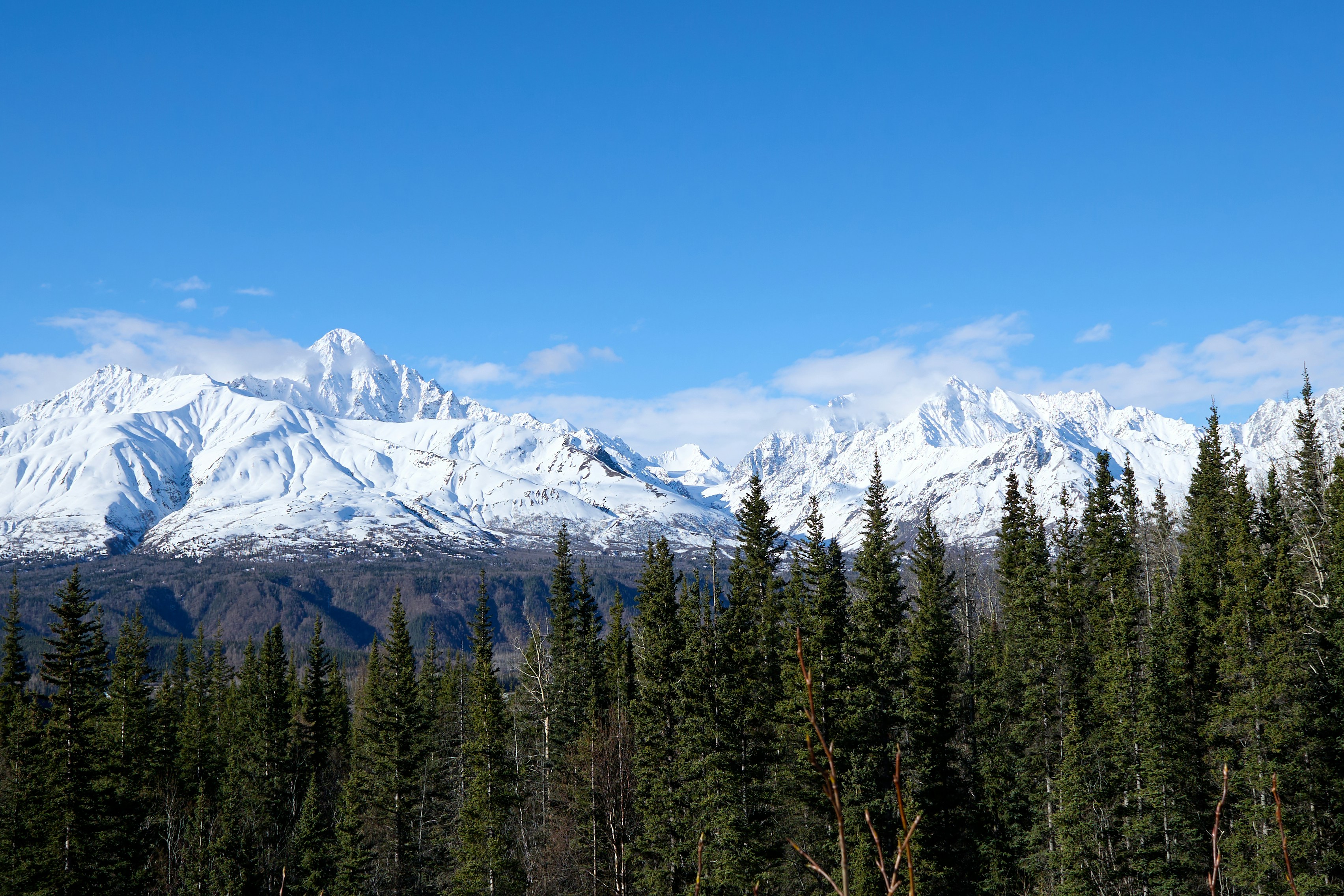 Campervan and RV Rental in Alaska