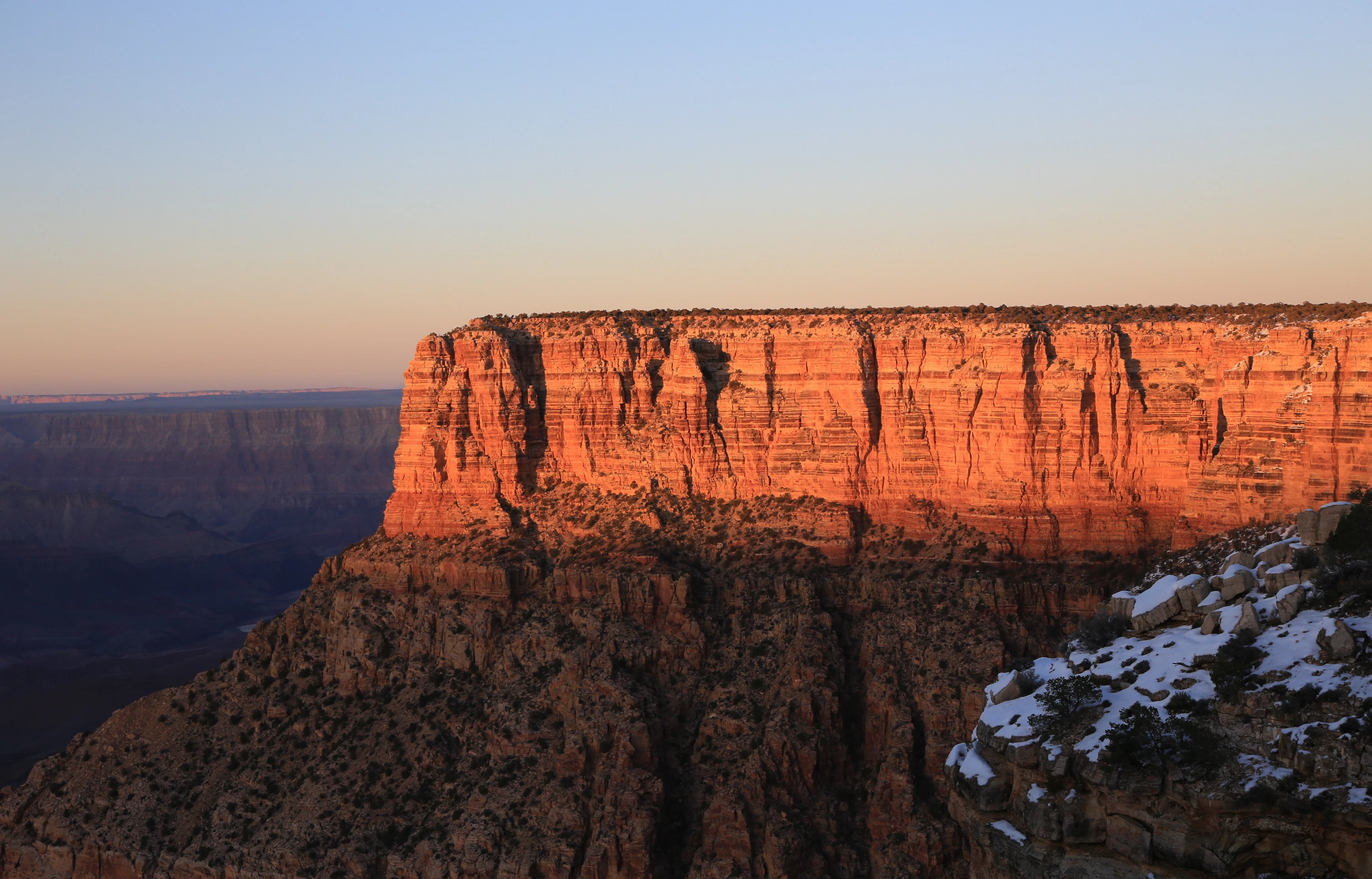 Arizona Reviews