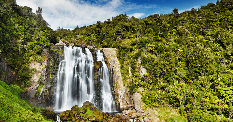 Stop 3: Hamilton & Waitomo