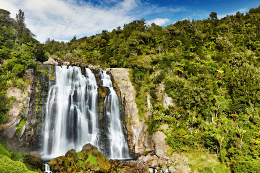 Stop 3: Hamilton & Waitomo