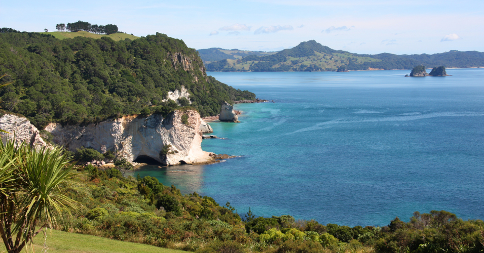 North Island Highlights Road Trip