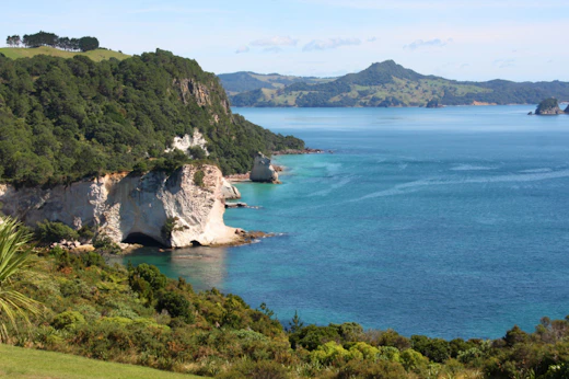 North Island Highlights Road Trip