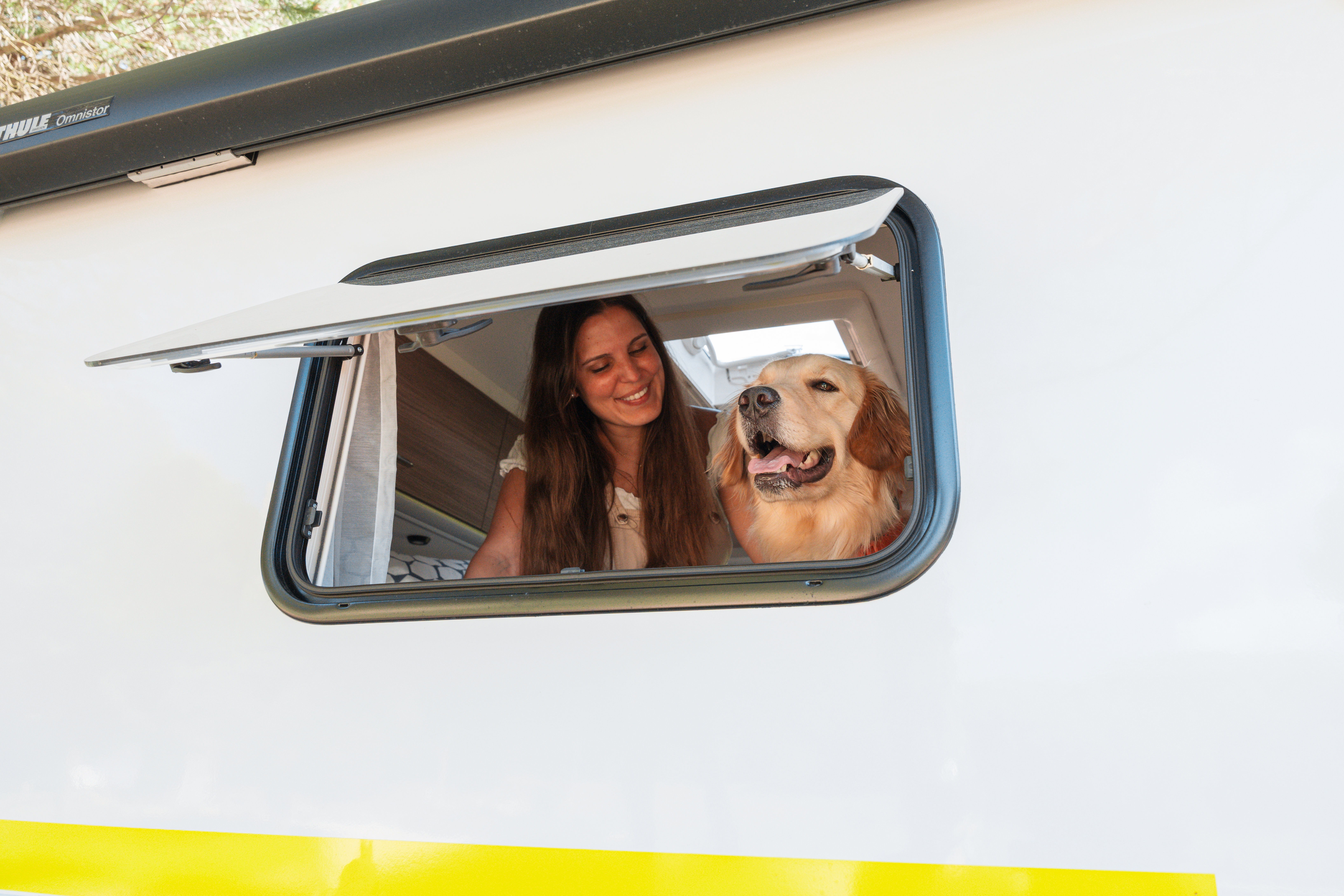 Pet Friendly Campervan Iceland