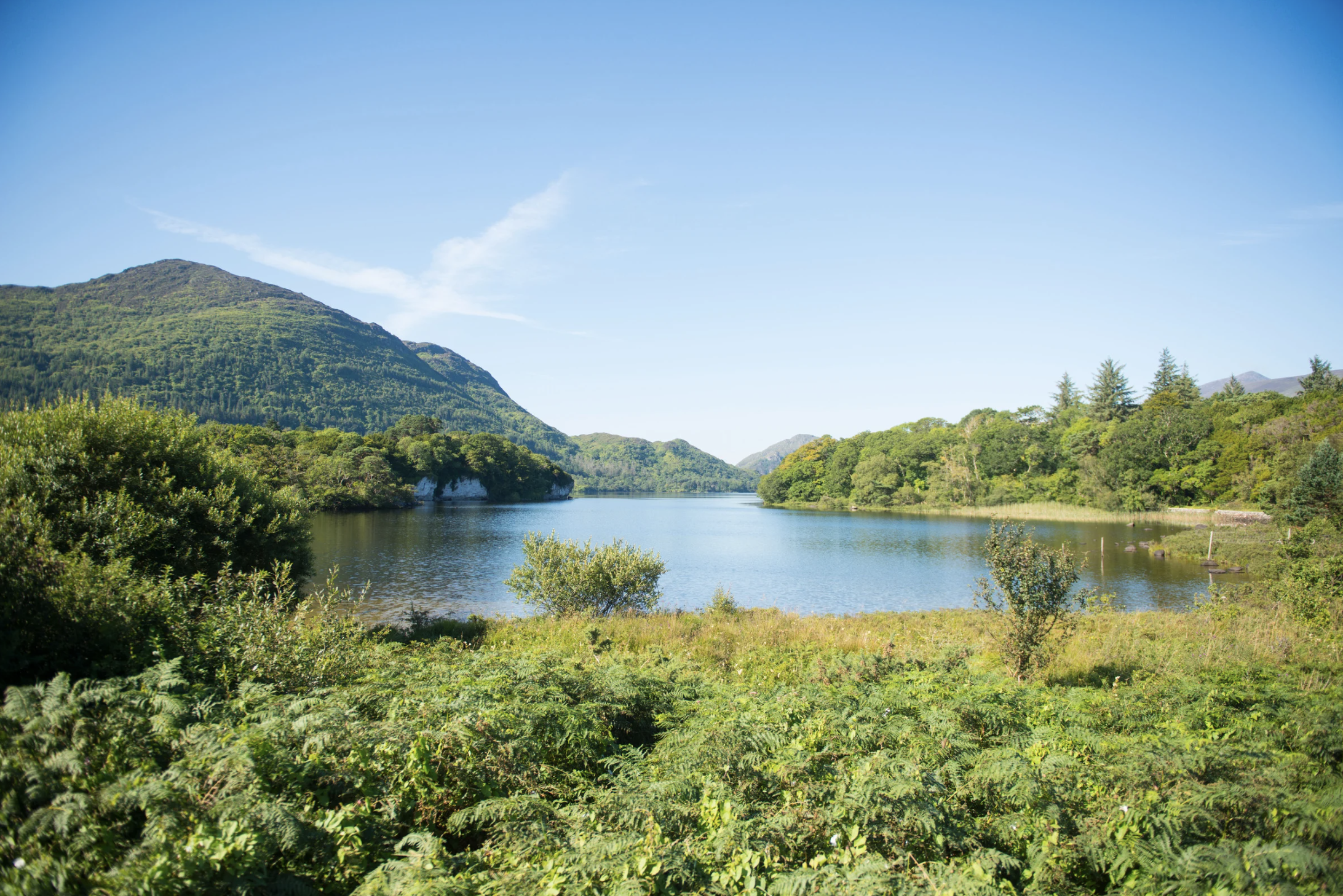 Parcs et espaces boisés d'Irlande du Nord