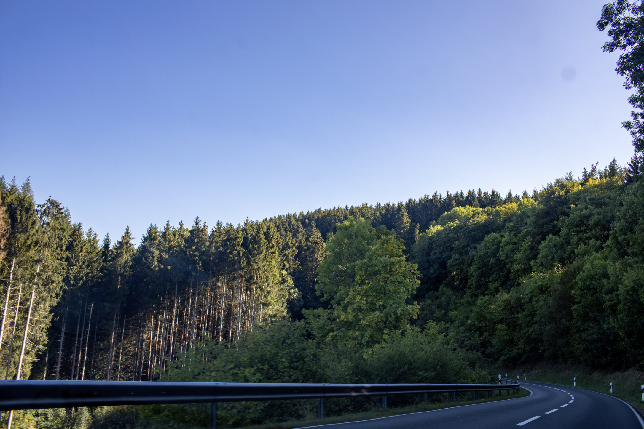 Campervan hire in Cologne | Best deals | Indie Campers