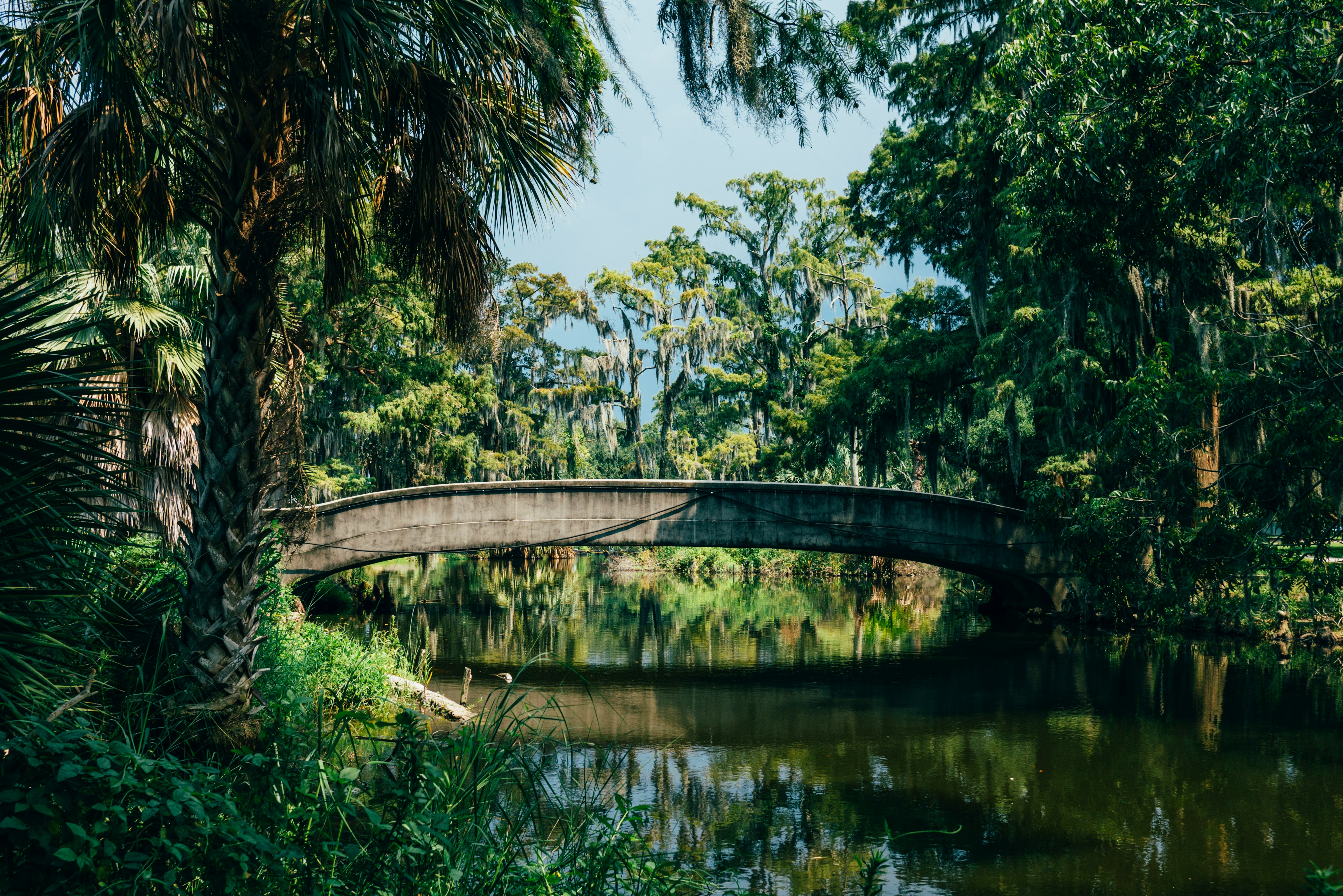 Louisiana Reviews