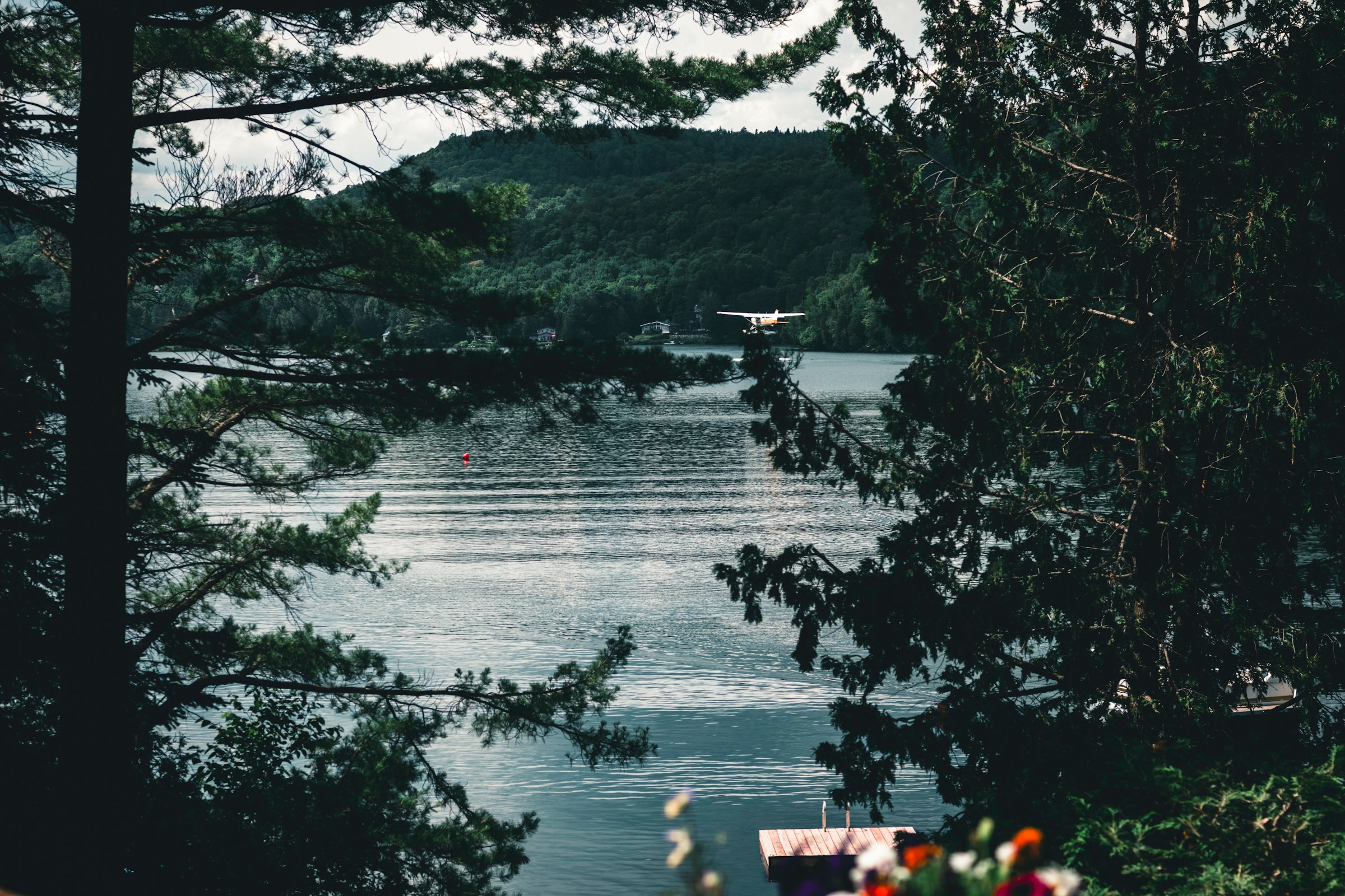 Top National Parks and Scenic Drives Near Montreal