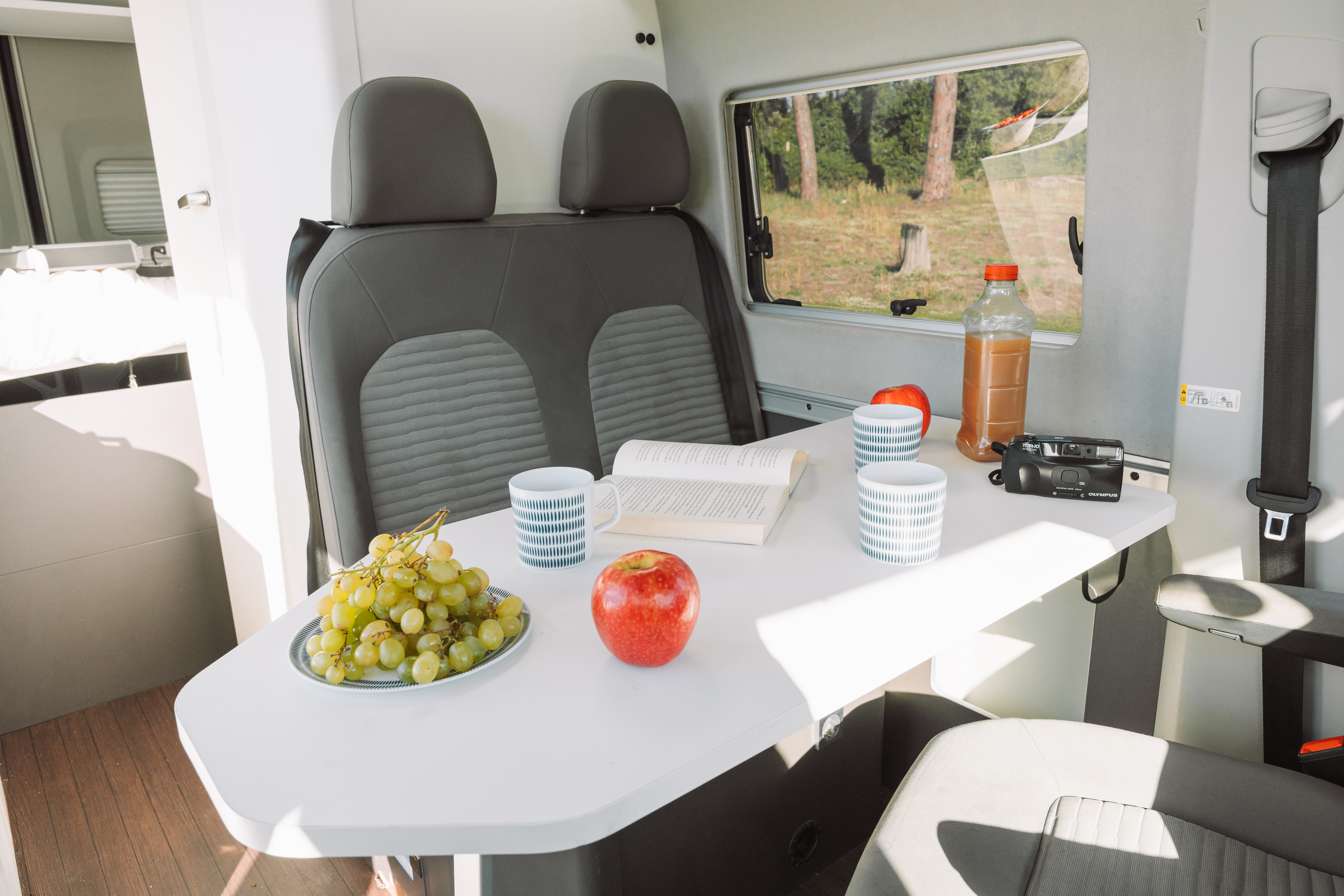 Camper van interior with dining table, two seats, plates, cups, fruit, open book, and side window visible.