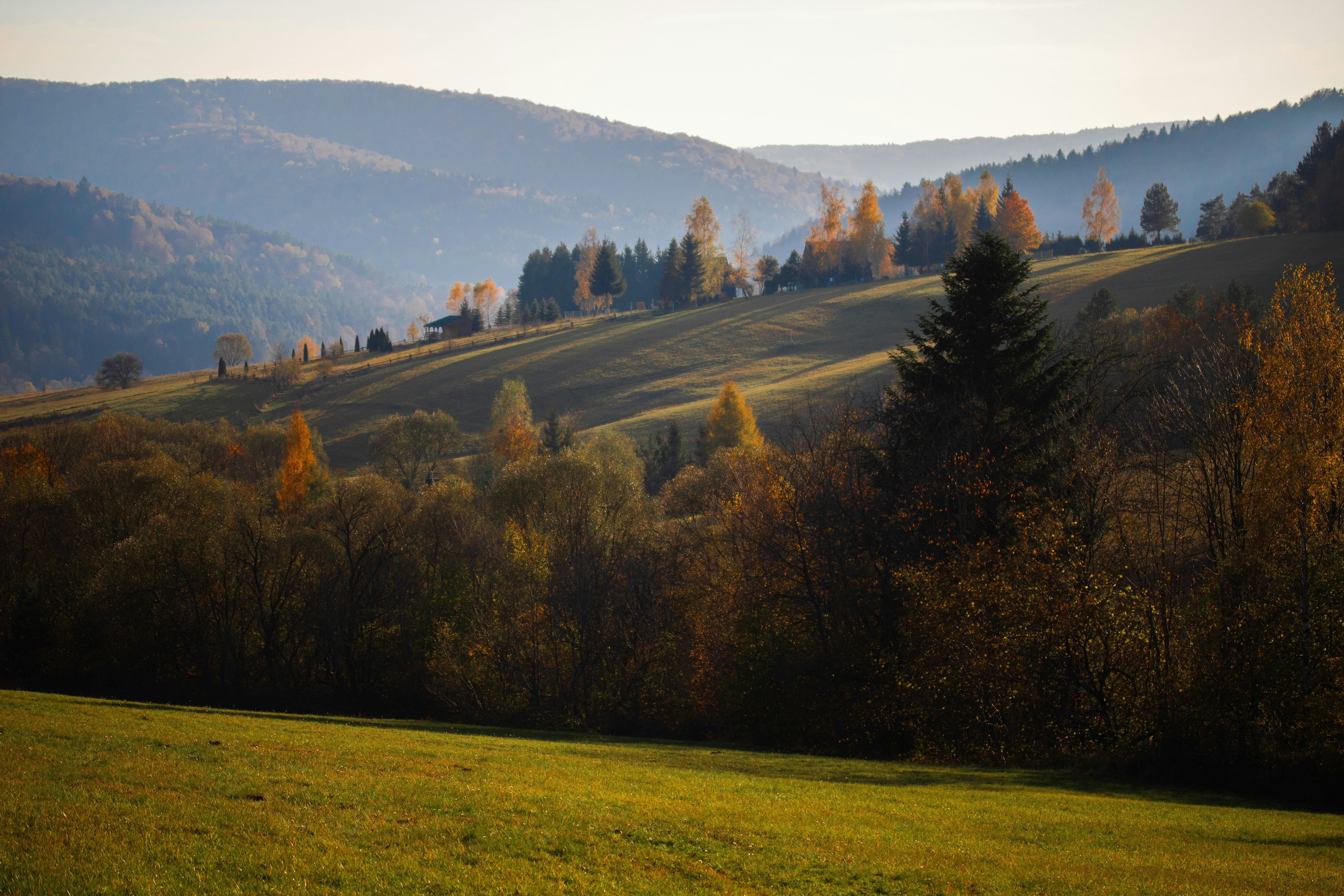 Lesser Poland Voivodeship Reviews