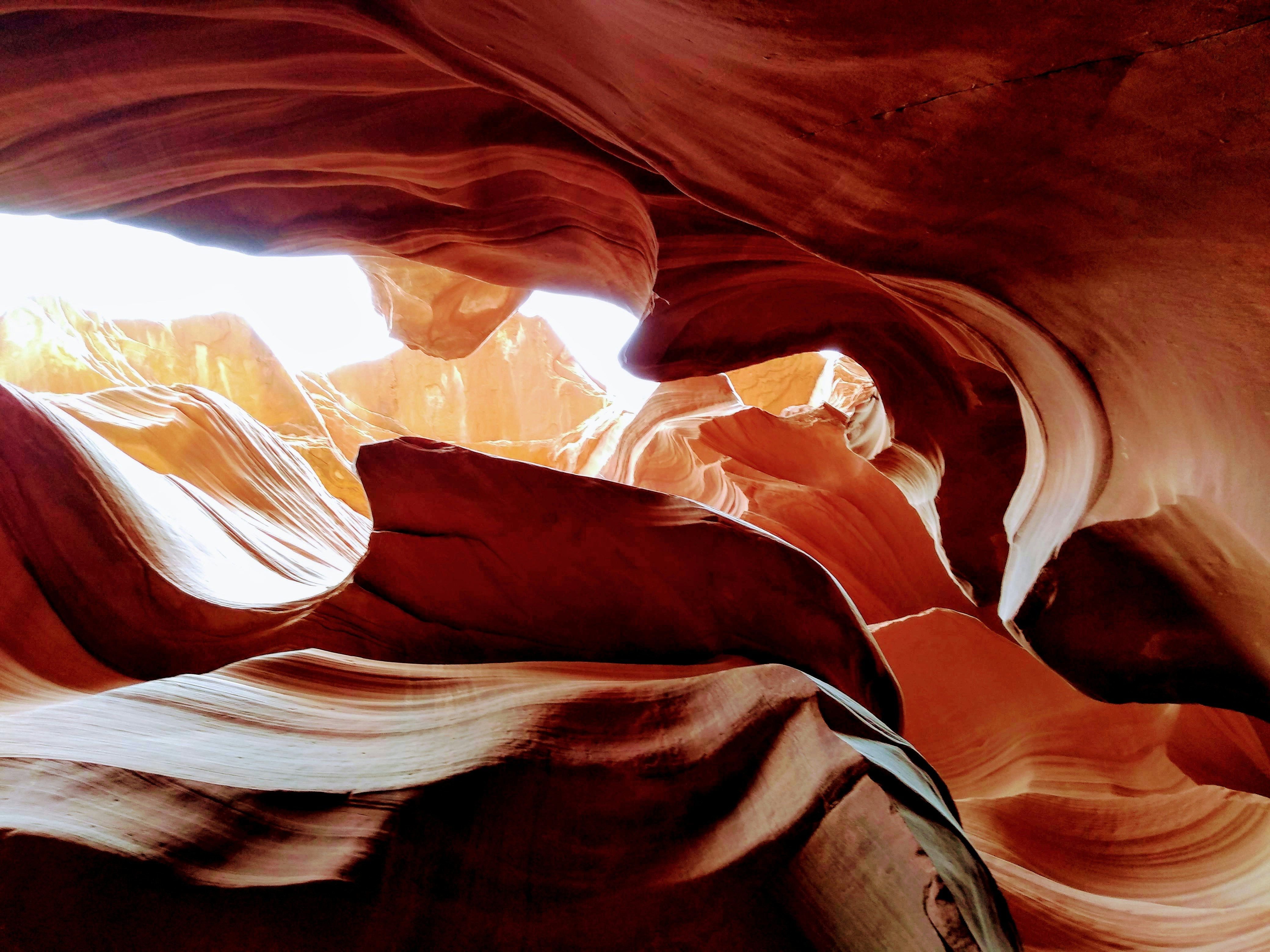 Top National Parks and Scenic Drives Near Phoenix
