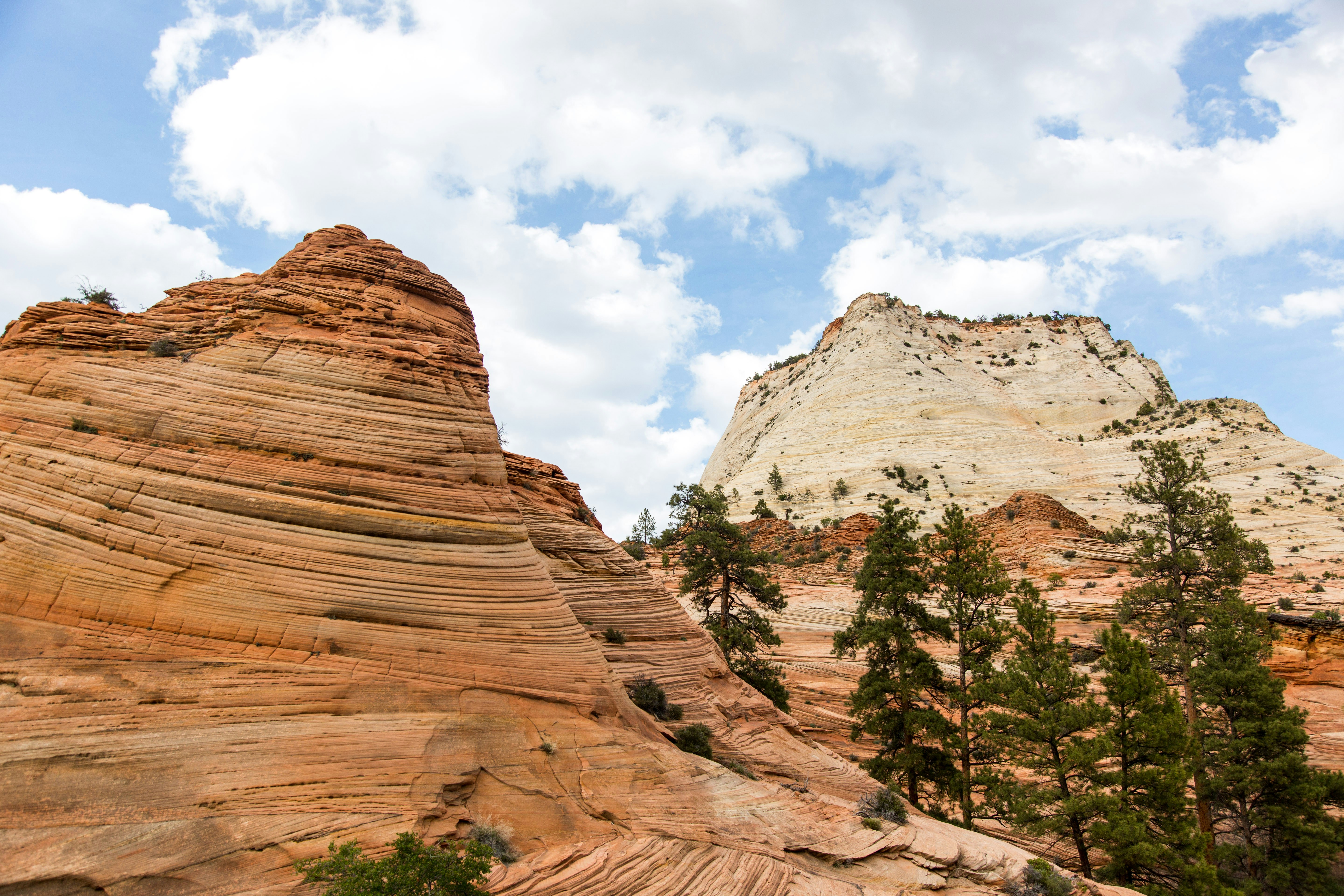 Why Hire a campervan in Zion National Park
