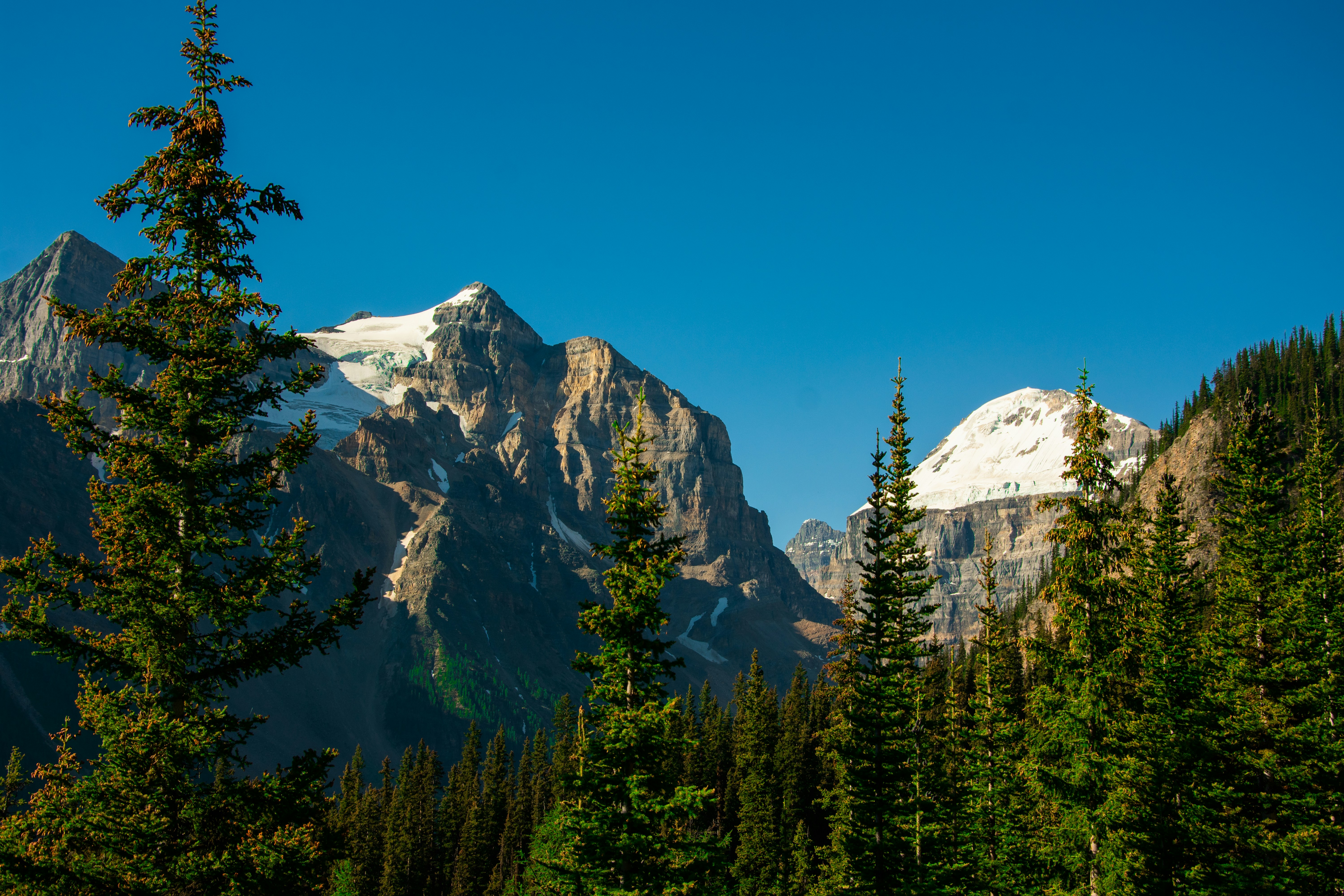 Perché noleggiare un camper nel Parco Nazionale di Banff
