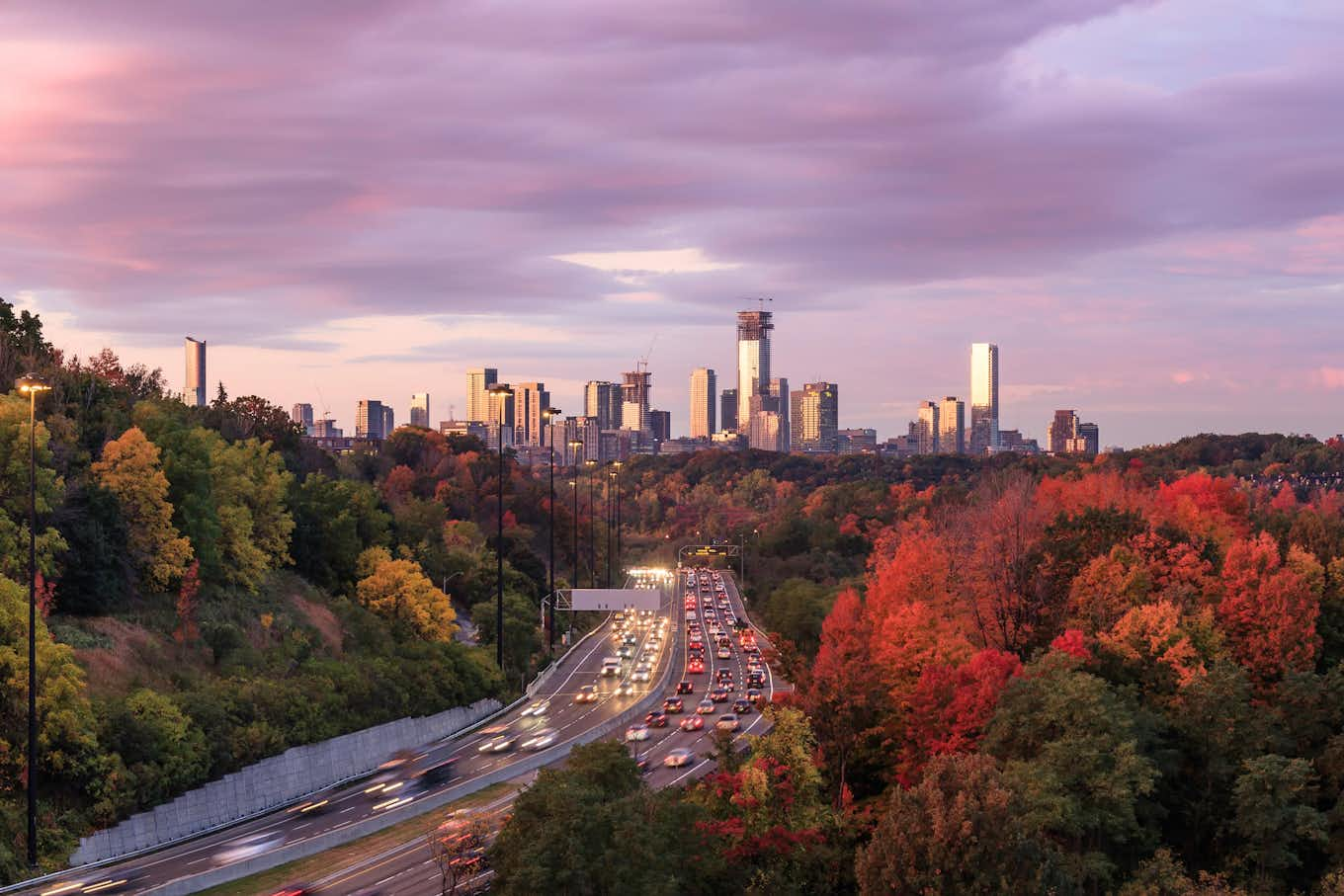 view of Toronto from an outside park