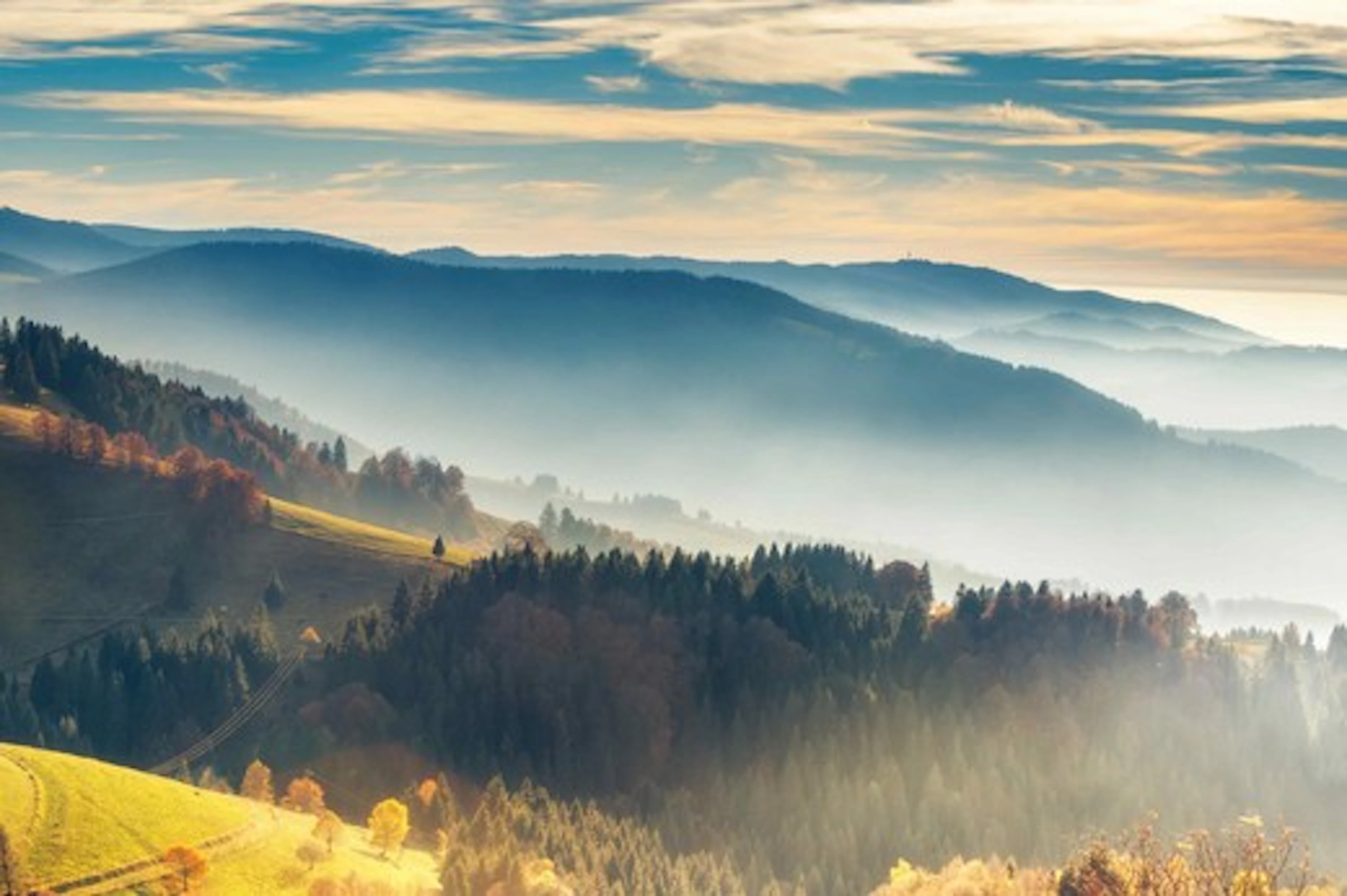 The Black Forest (Schwarzwald) and Baden-Württemberg