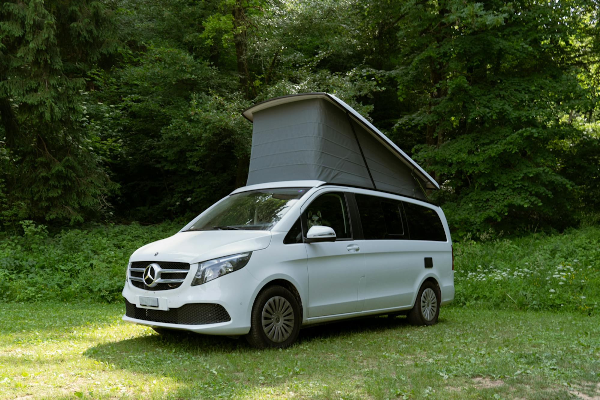 Mercedes Vito Campervan - We Buy Any Motorcaravan