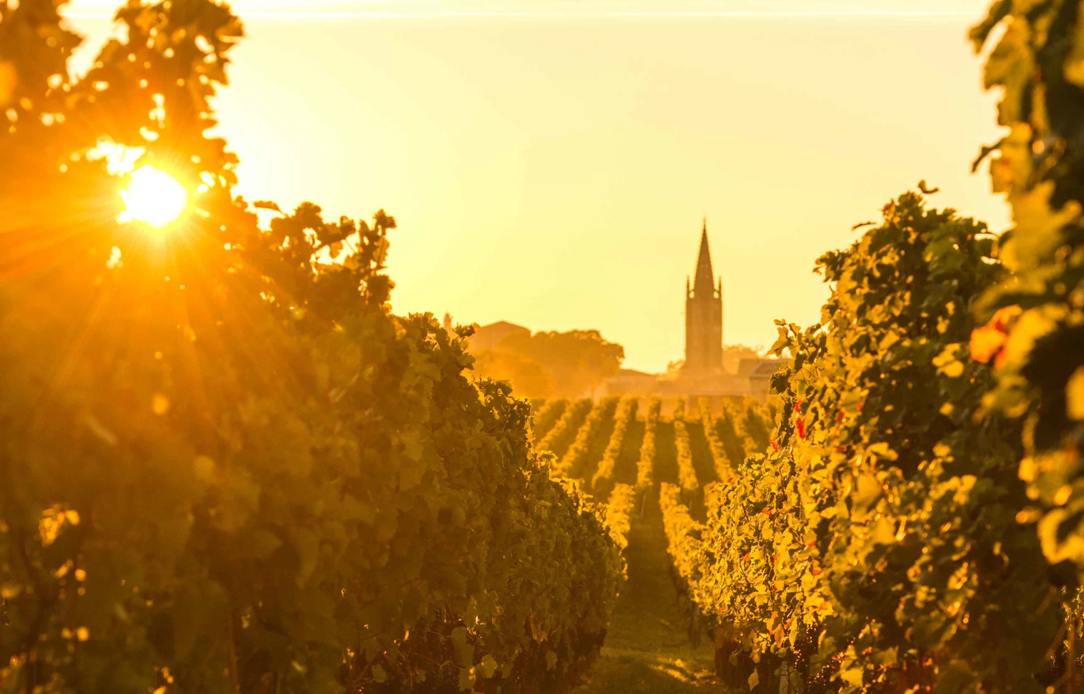 Aquitaine Reviews