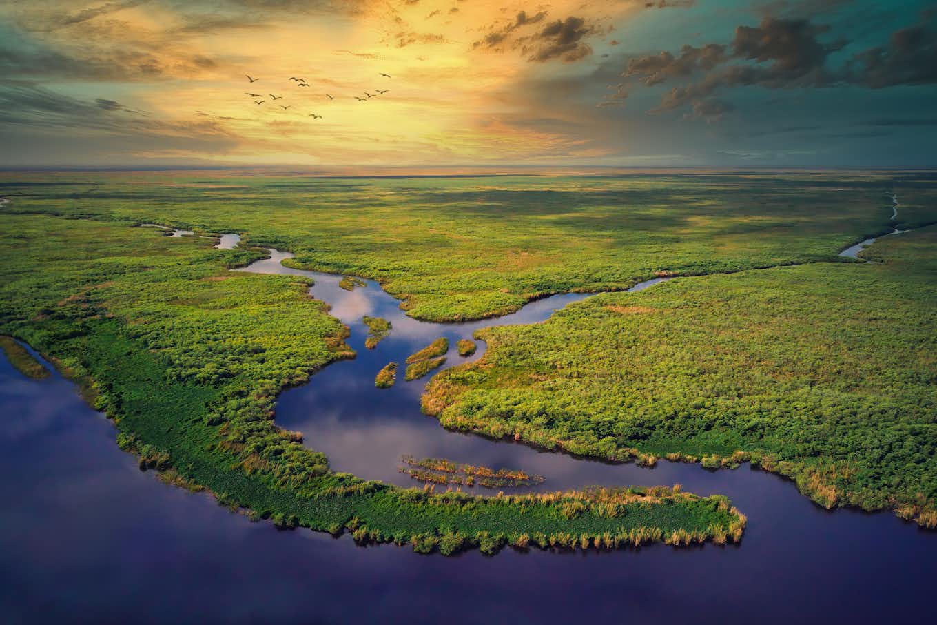 Everglades national park near Orlando