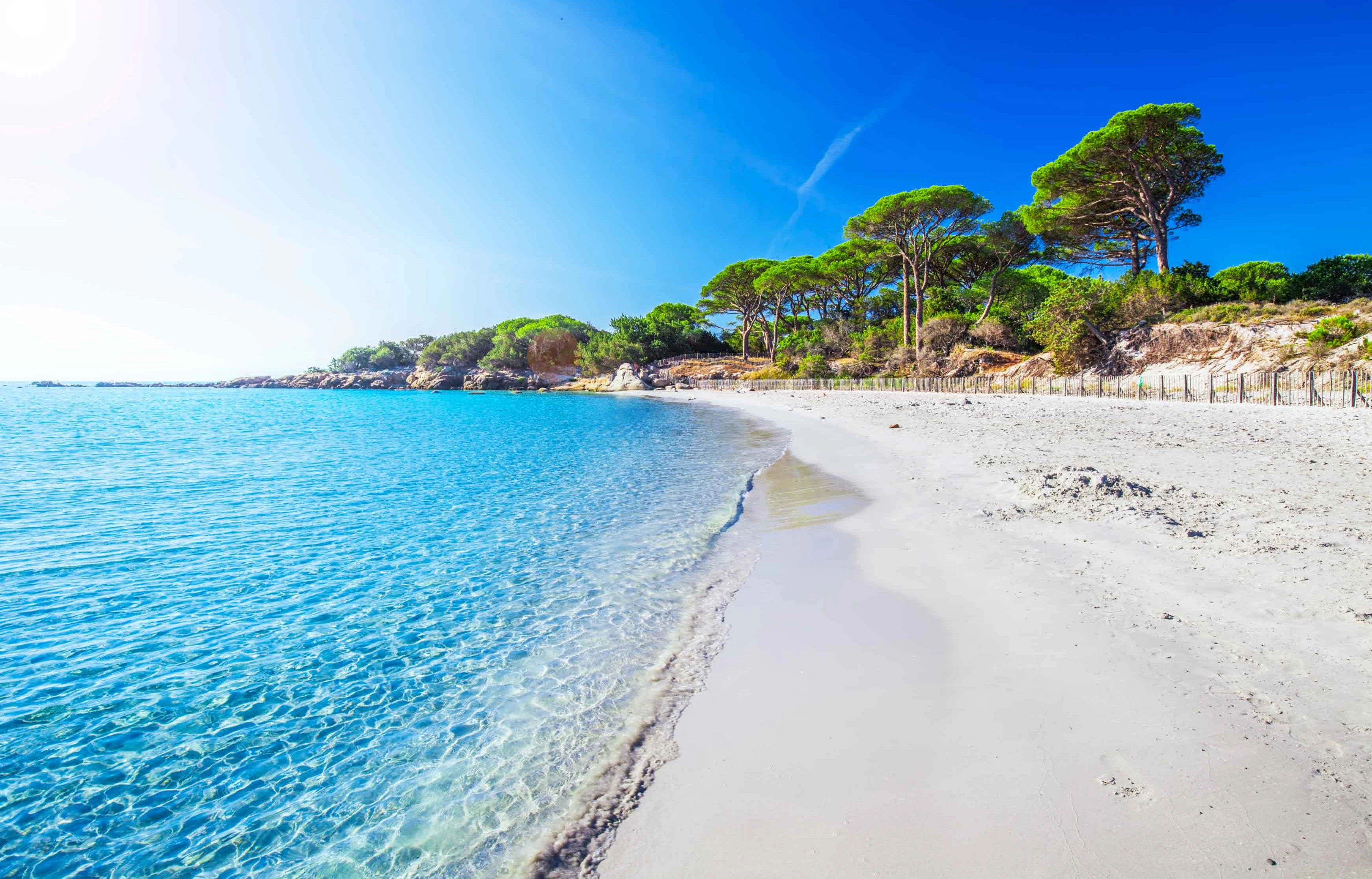 Corsica Reviews