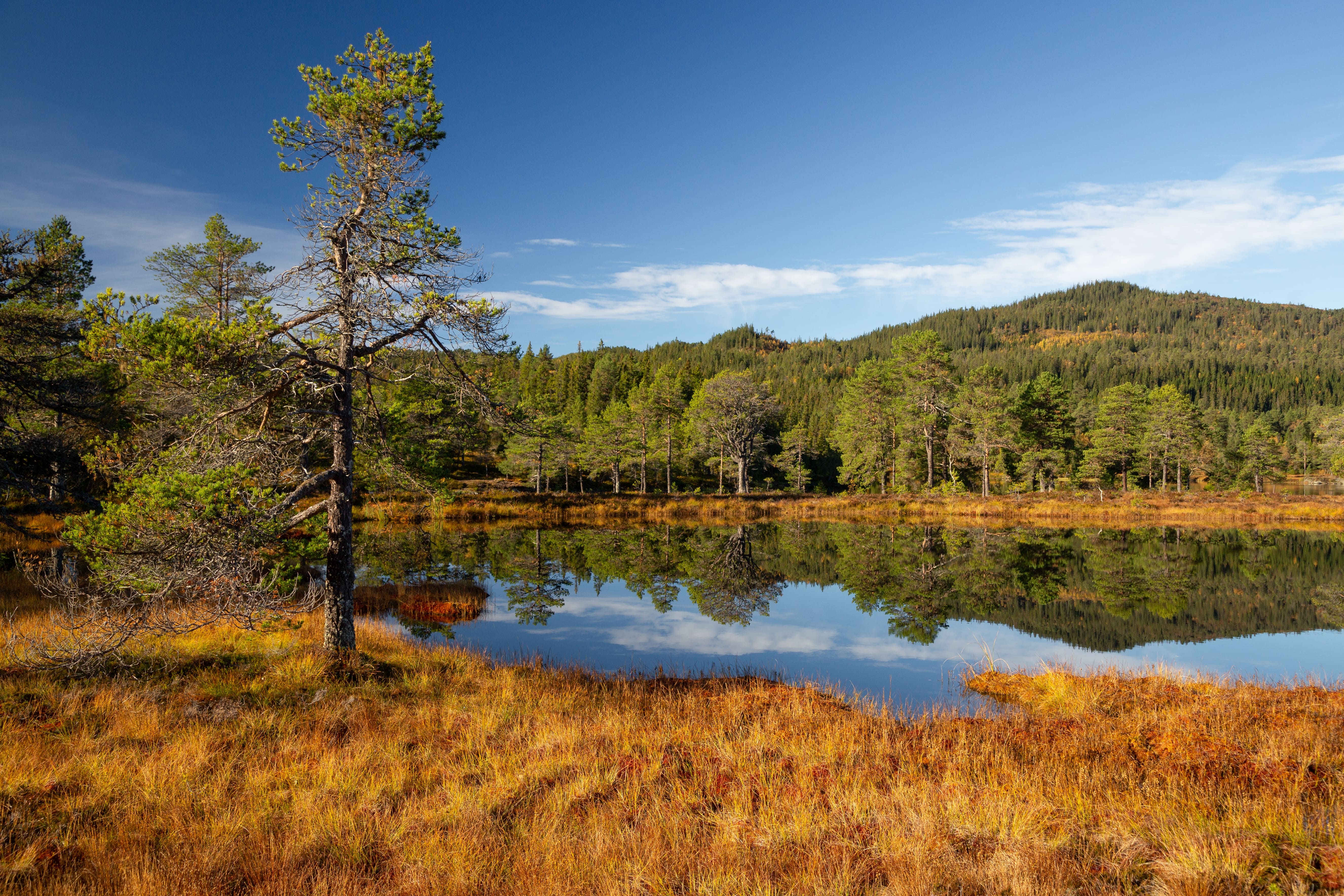Central Norway