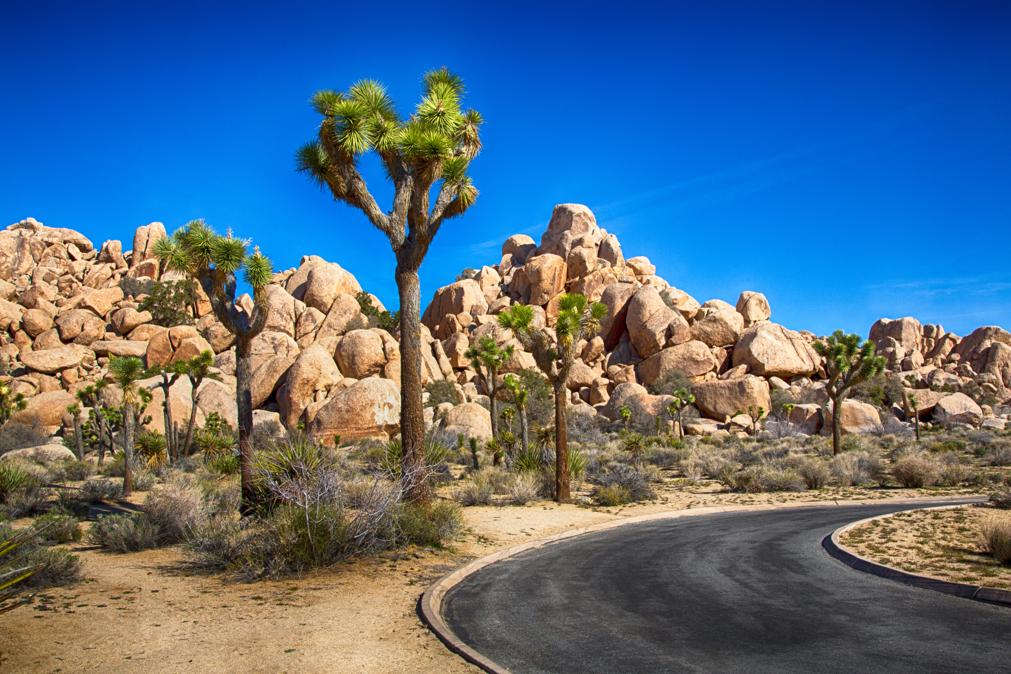 Réserve nationale de Mojave