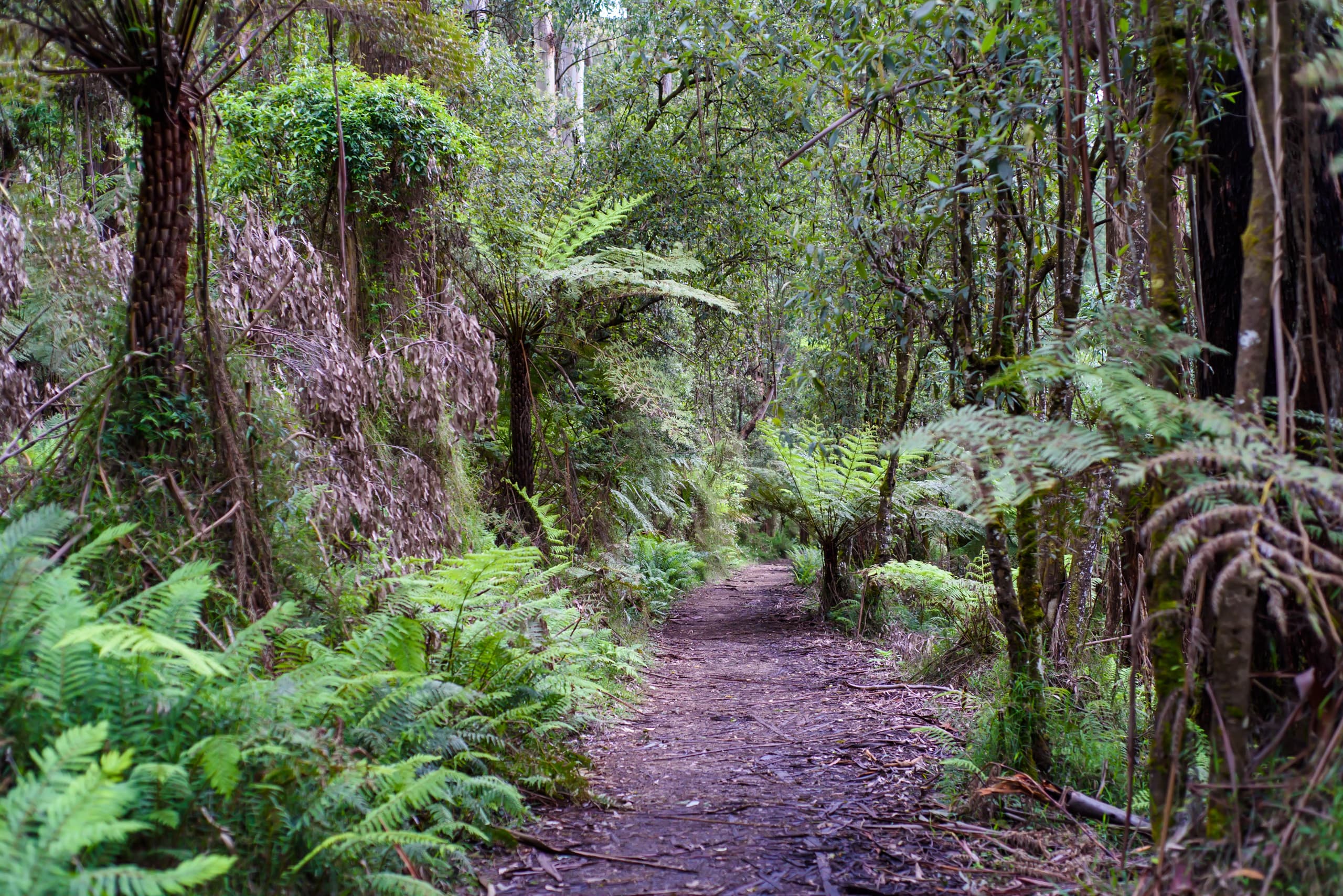 Melbourne National Parks